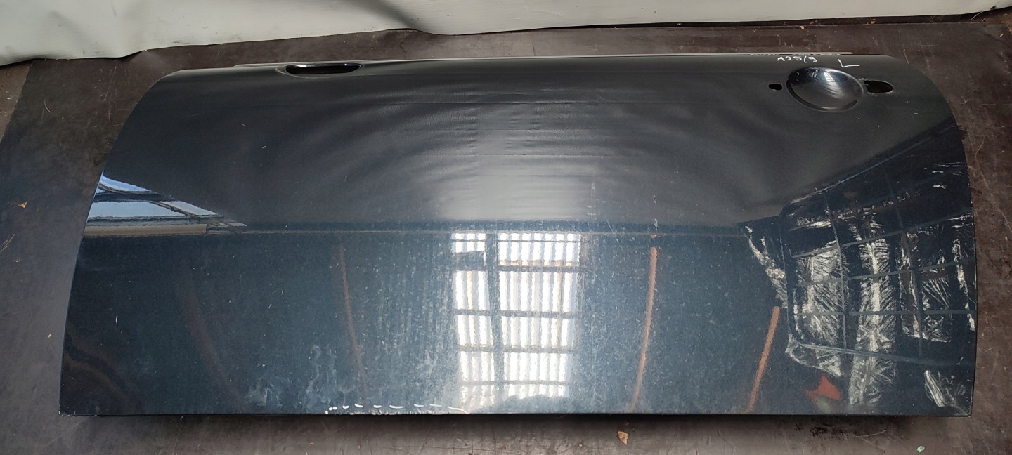 door front front left Mini R50 A25/9
