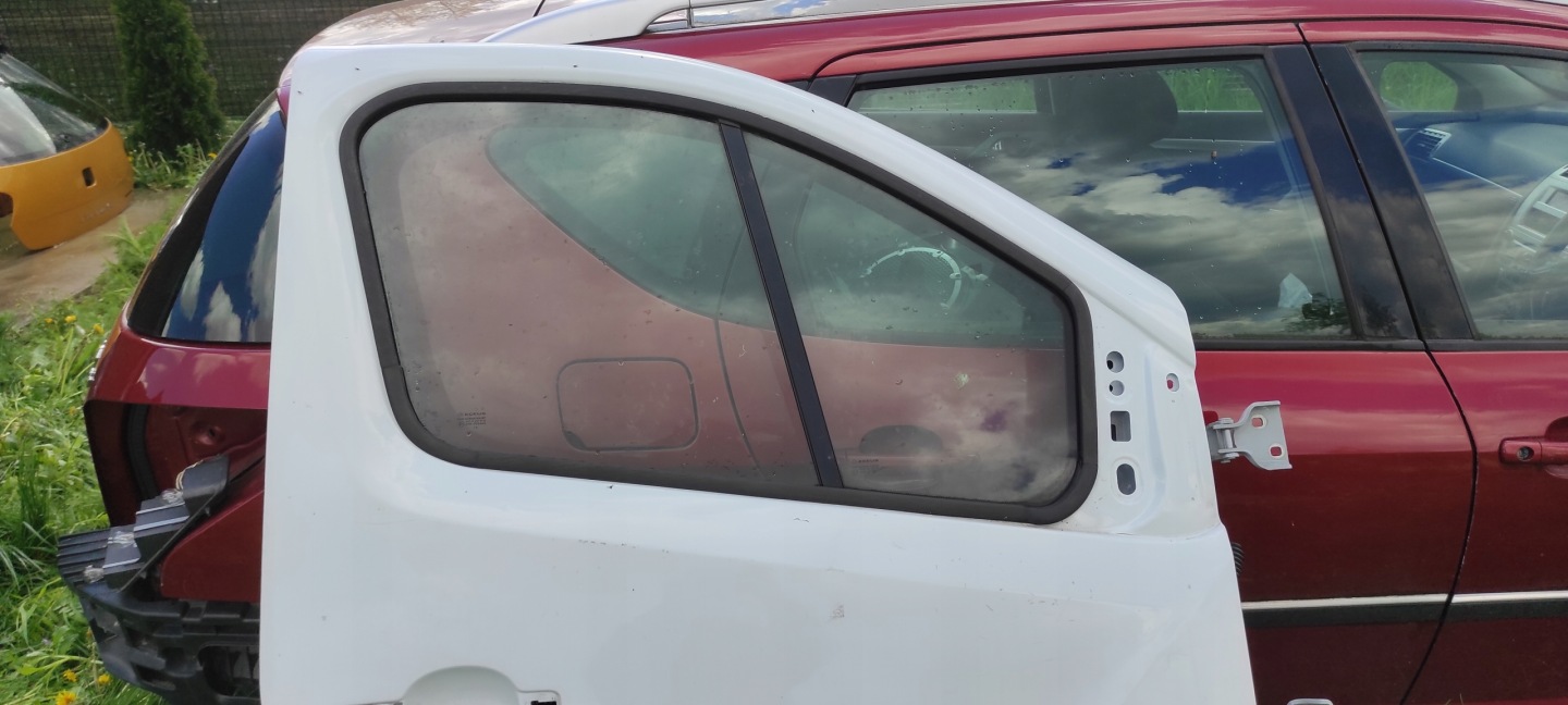 door right front right front opel vivaro B BIALE