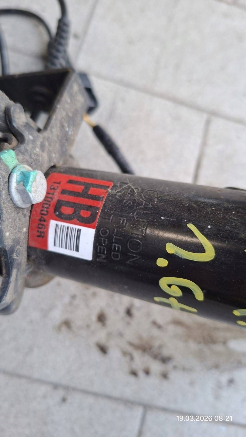 swing McPherson shock absorber front side right Renault Arkana 13100046R