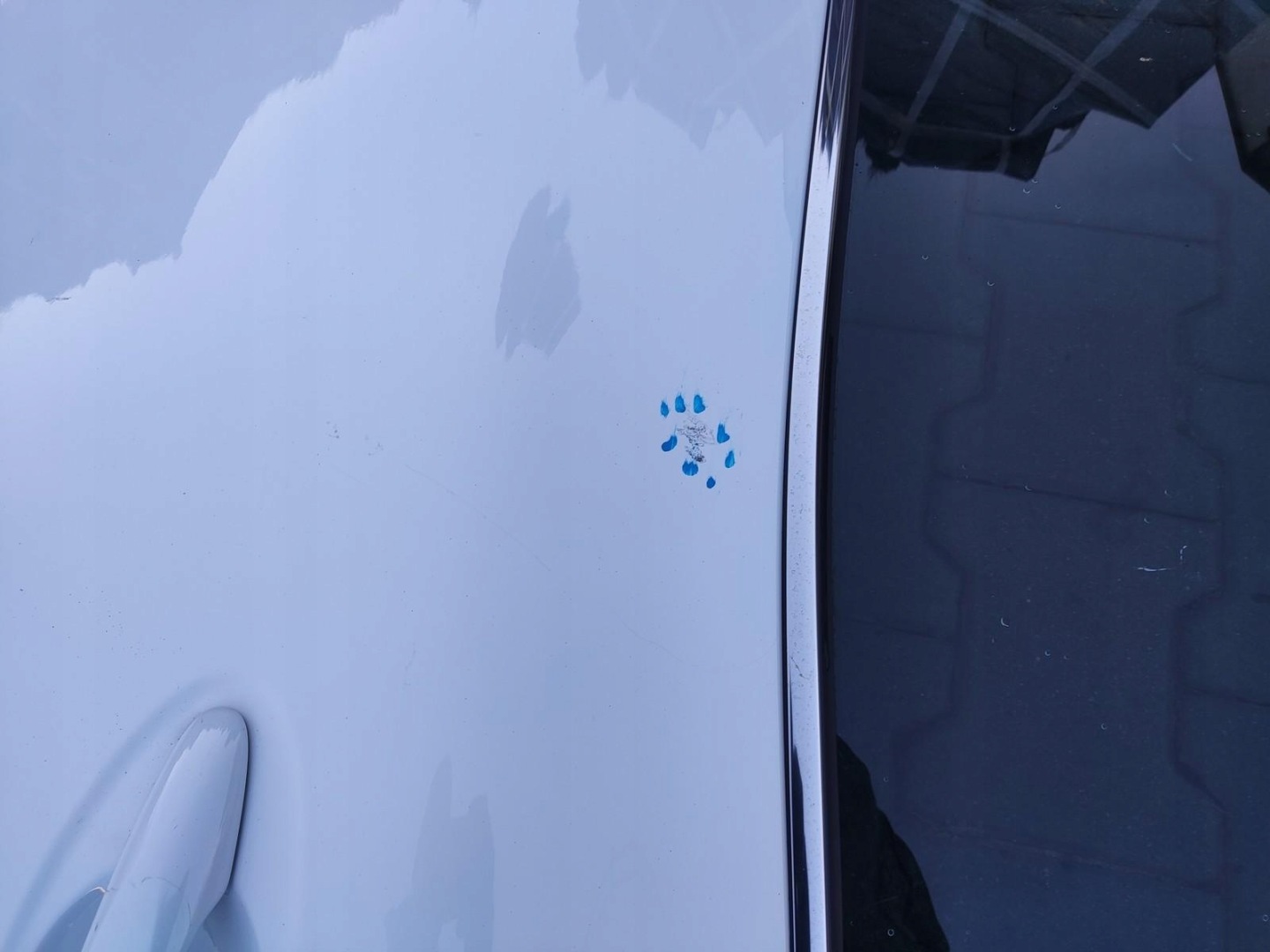 Tür links heck hinten RENAULT KADJAR LIFT 2018-2022