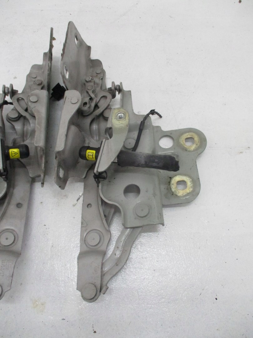 Cerniera del cofano JAGUAR E PACE J9C3-16800-BB