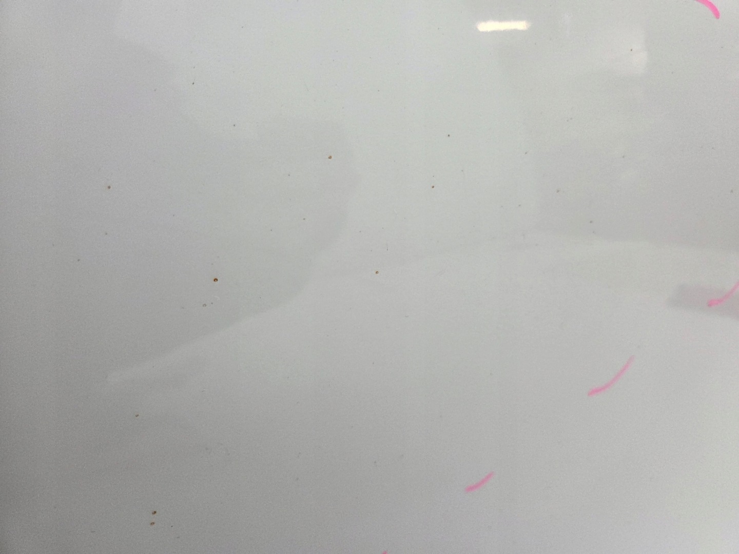 BMW X1 E84 door left rear. 300