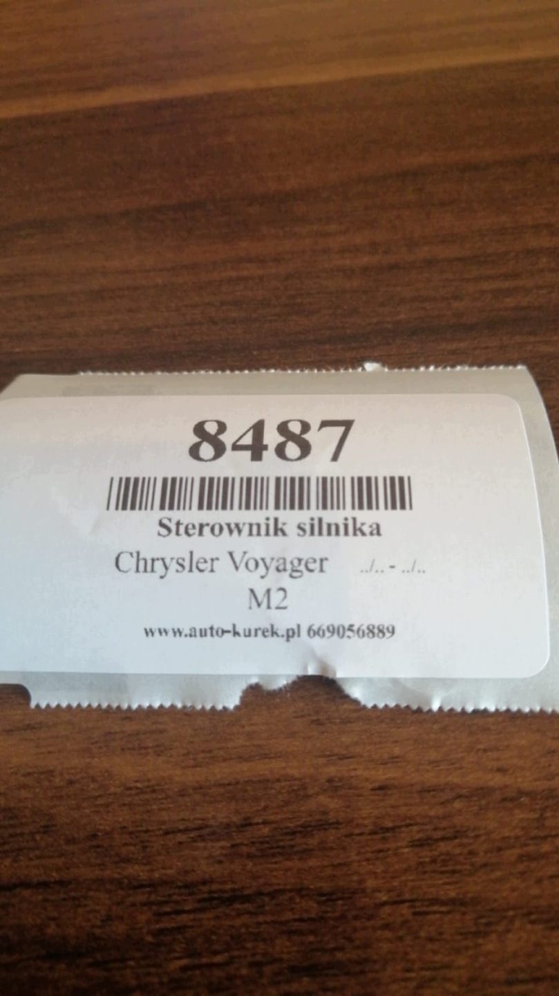 CHRYSLER VOYAGER centralina motore 0285001081