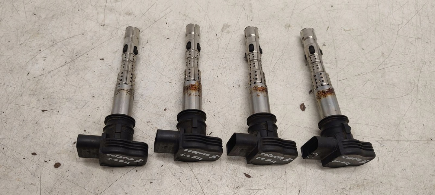 coil ignition Skoda Octavia II 2,0 FSI