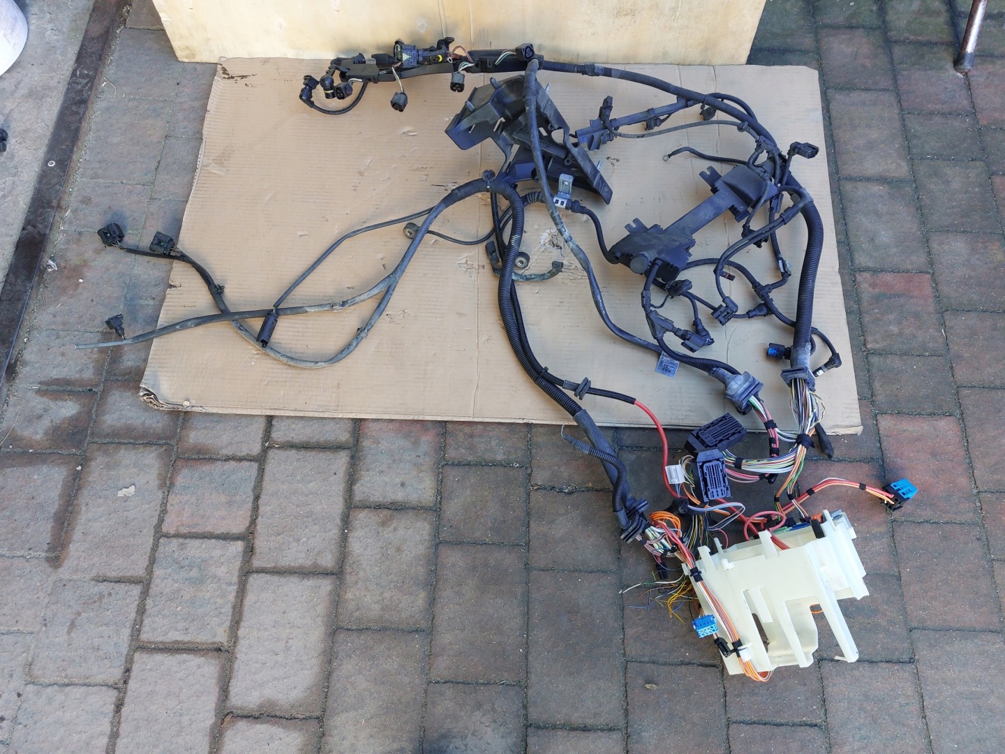 bundle electrical of the engine BMW Z4 E85 2.0iI N46