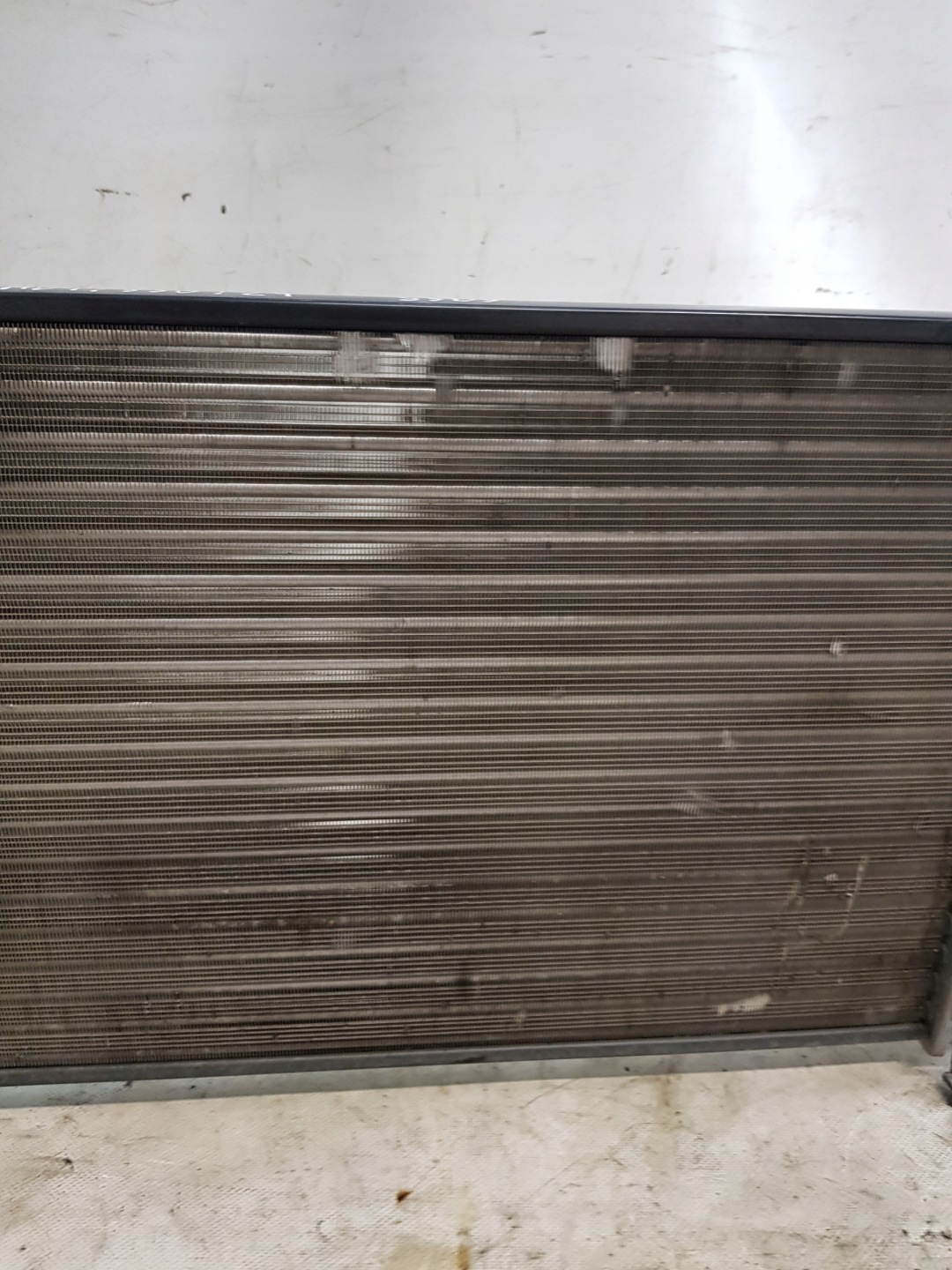 water cooler FORD FOCUS MK1 1.6B