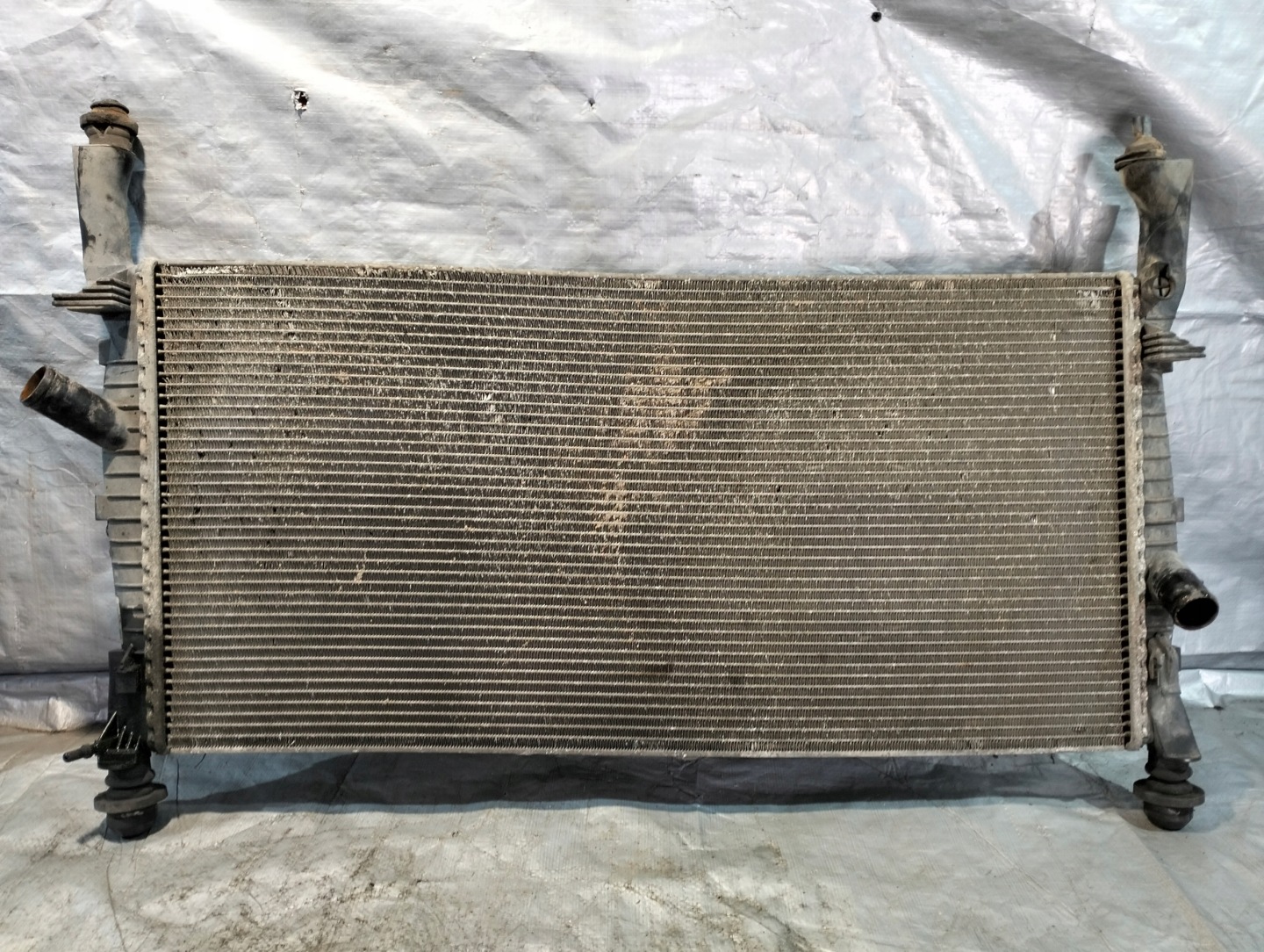 water cooler FORD TRANSIT V 2.2 TDCI 2007r VP6C1H-8005-CB