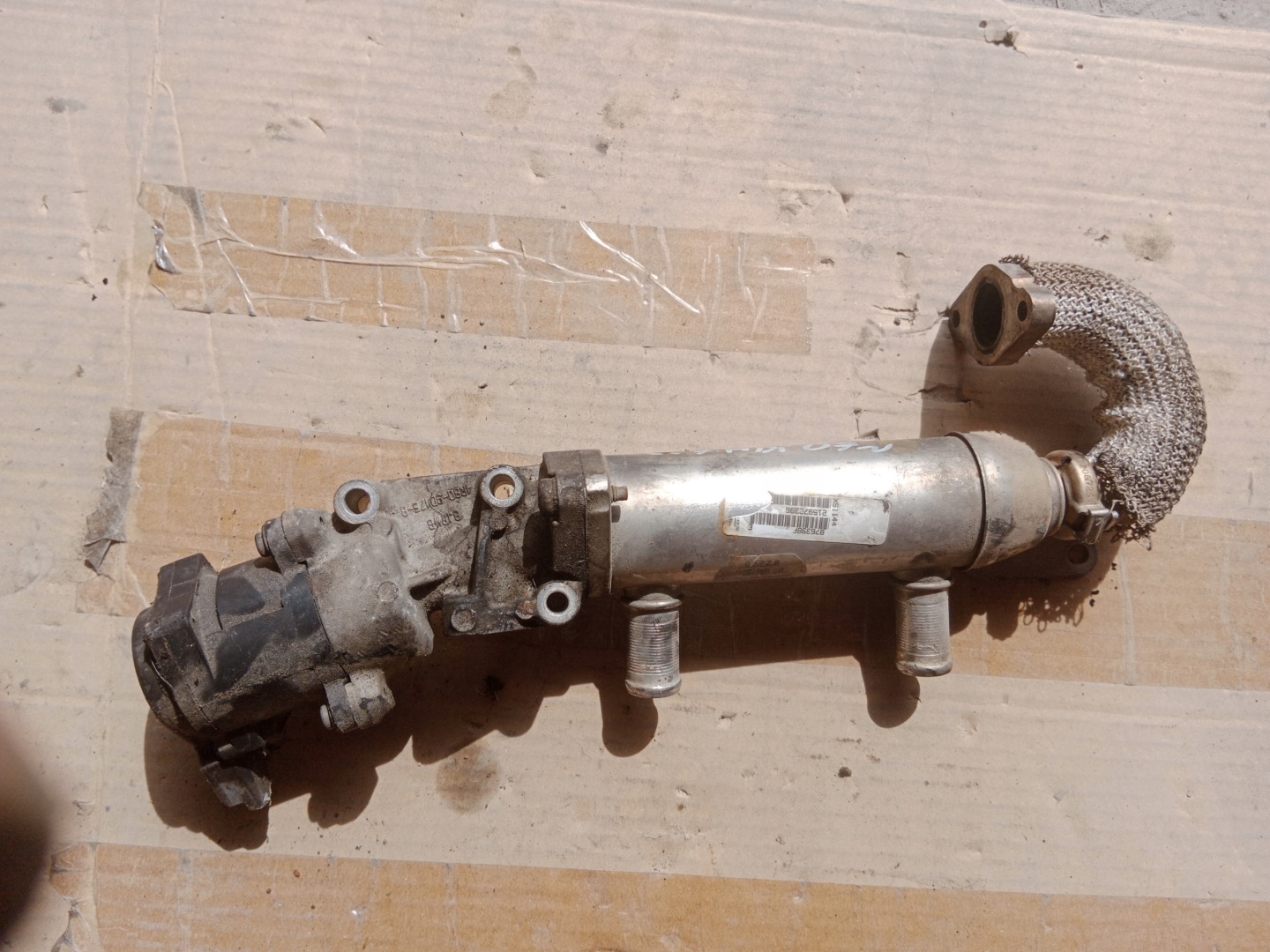 Kühler Gase AGR-Ventil CITROEN C6 876398F