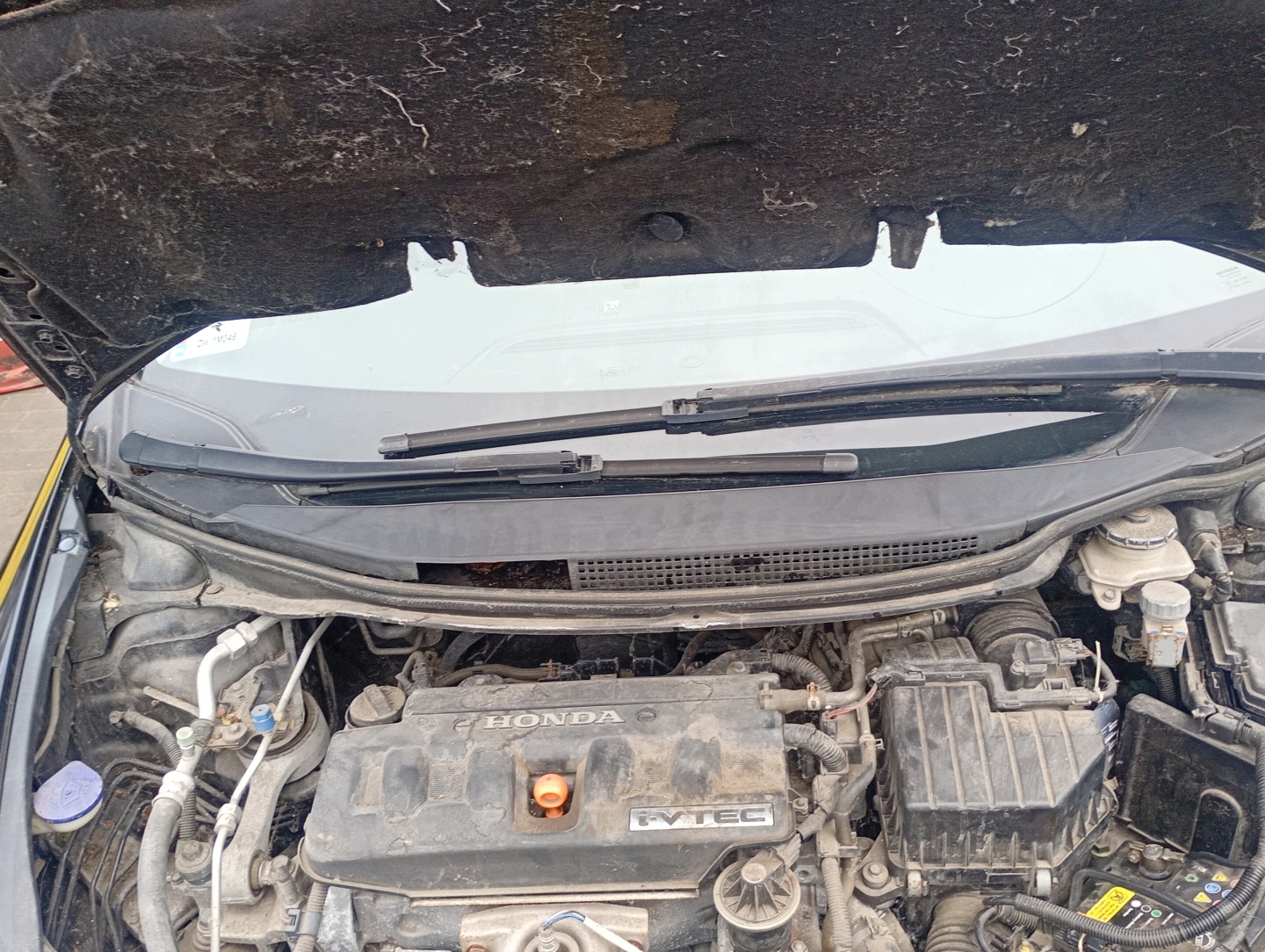 torpedo Honda Civic 8 VIII UFO 05-11