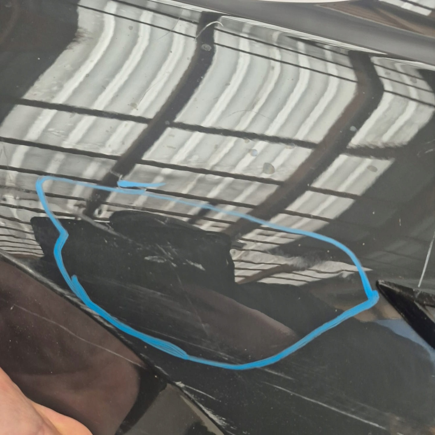 VW GOLF VIII 8 19-> fender front front left