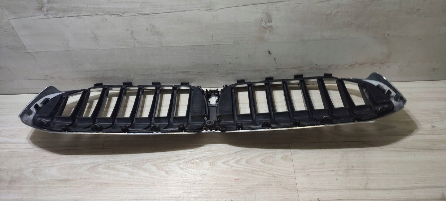 grille radiator (grill) BMW 3 G20 G21 19297610