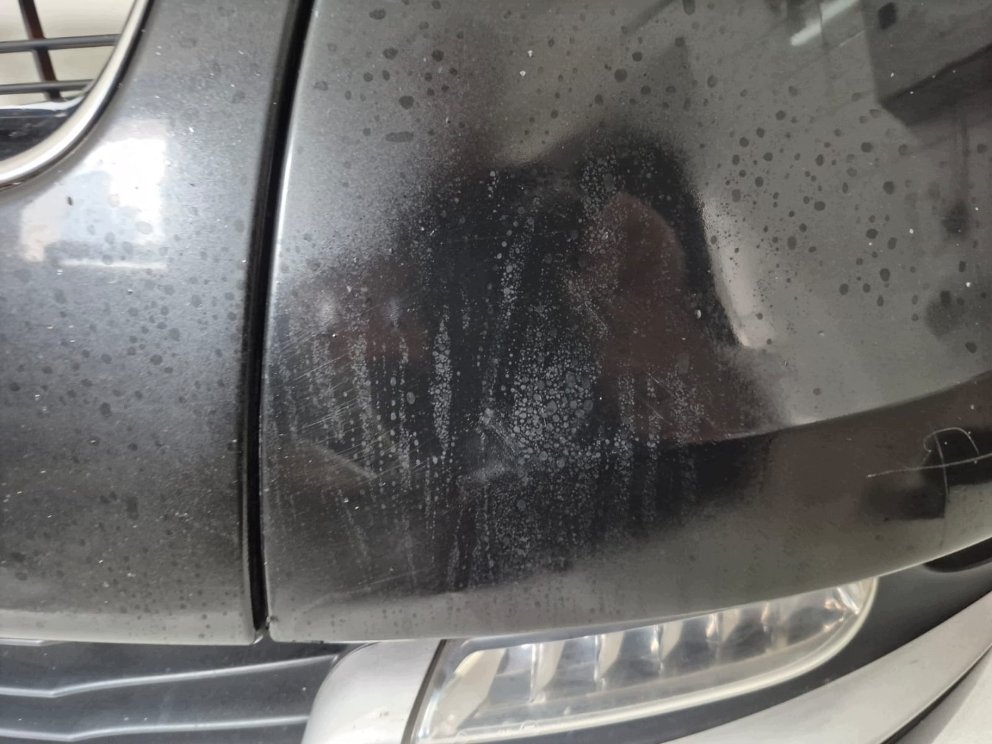 RENAULT SCENIC III LIFT 12-13 bumper front front SPR LAK.TEGNE