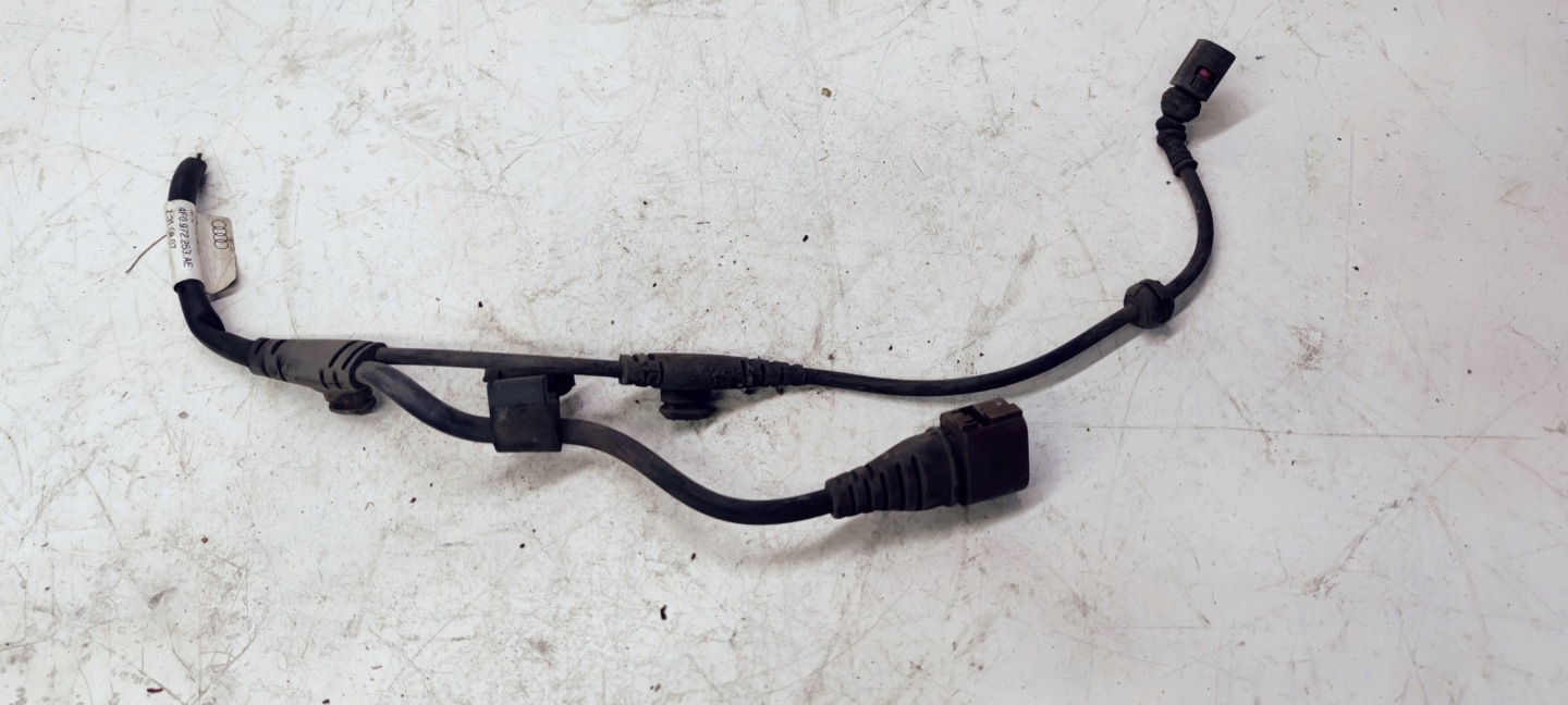 bundle of a caliper left rear part AUDI A6 C6 4F0972253AE