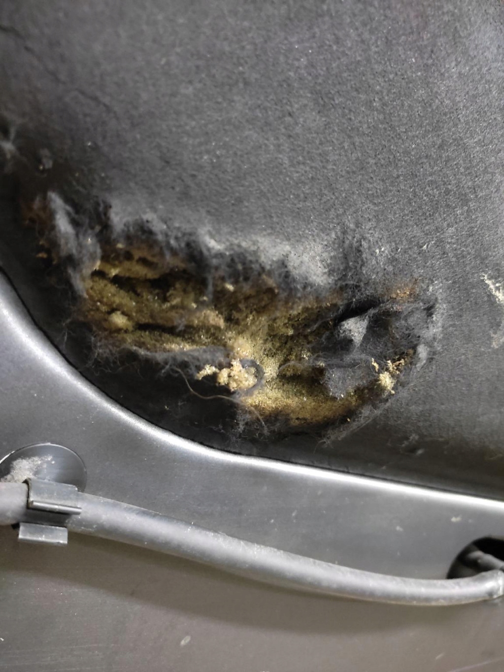 VOLVO S40 II bonnet 455-46