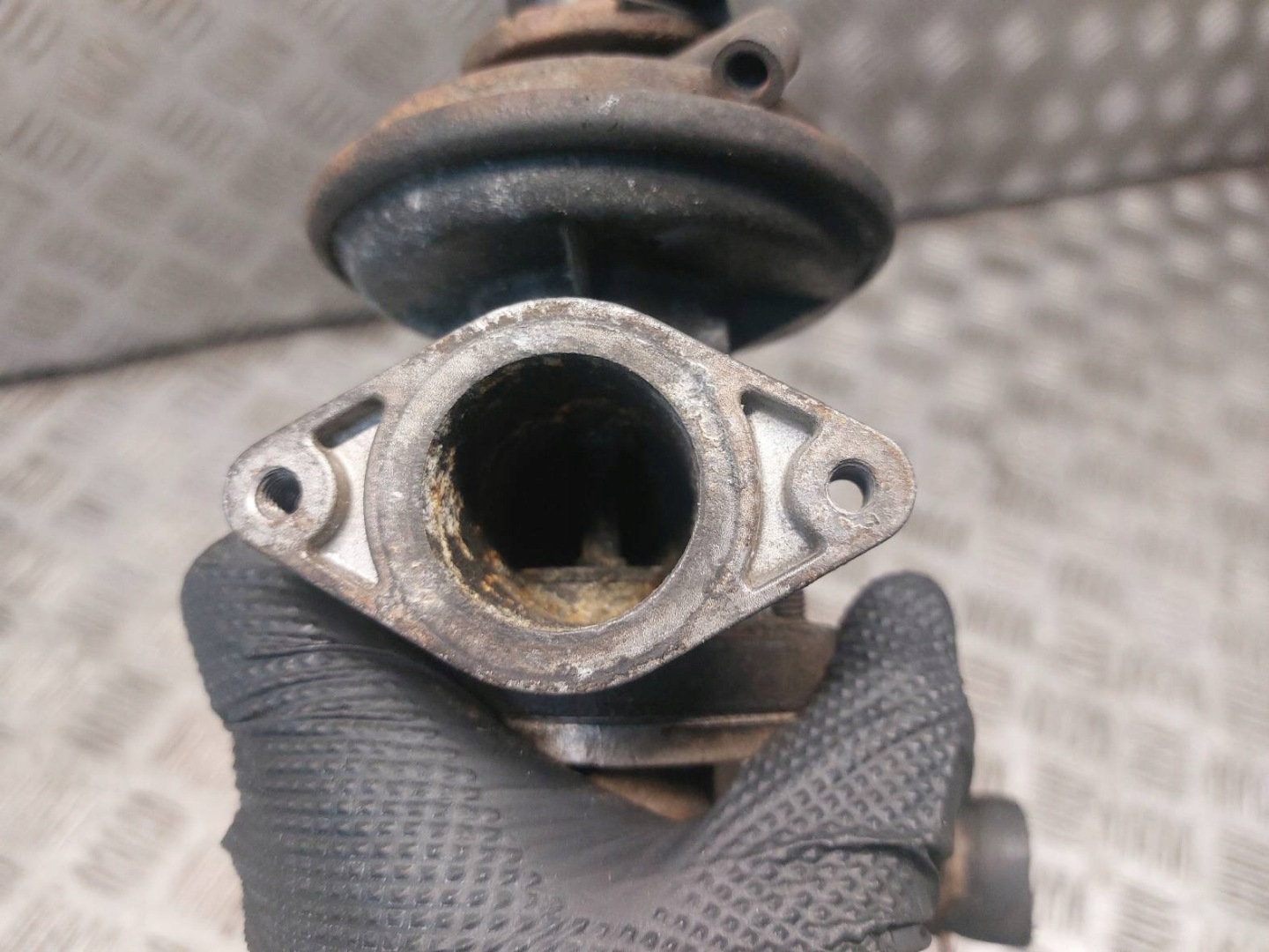 Kühler Gase EGR+ Sensor FORD TRANSIT V 2.0 DI 1C1Q-9F464-AD