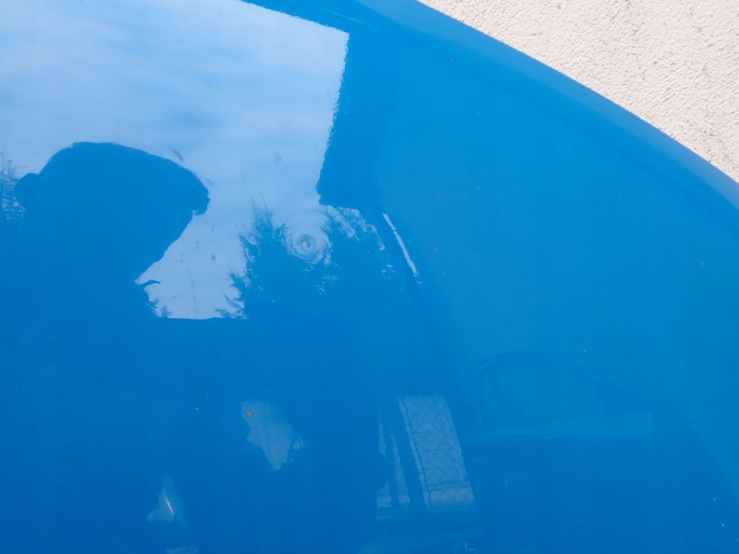 COFANO RENAULT MASTER III LIFT 2019-2024R