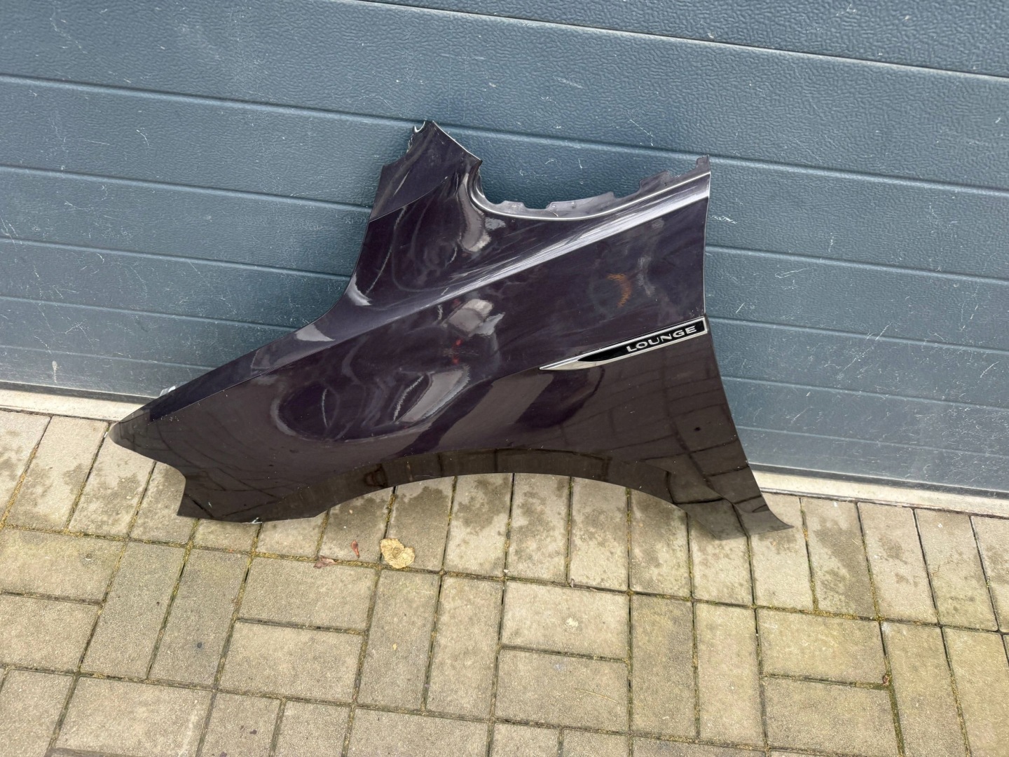 Vw Golf Sportsvan 510 fender left front front