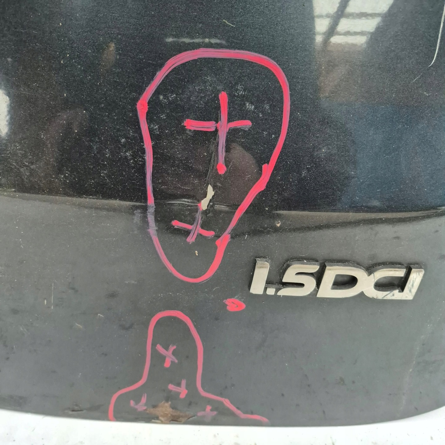 DACIA LOGAN und VAN MCV 06- Tür rechts heck hinten