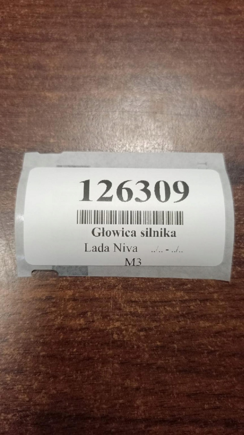 LADA NIVA 1.7 hlava MOTORU 21011100301510