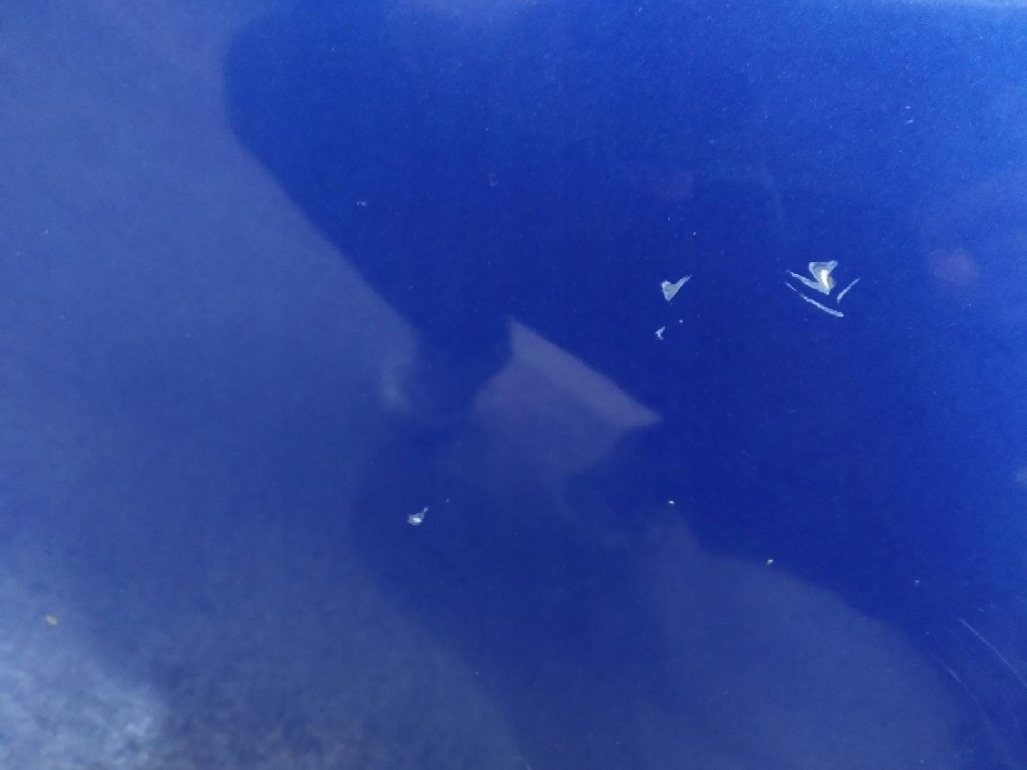 door right front blue Suzuki Swift IV (2004-2010)