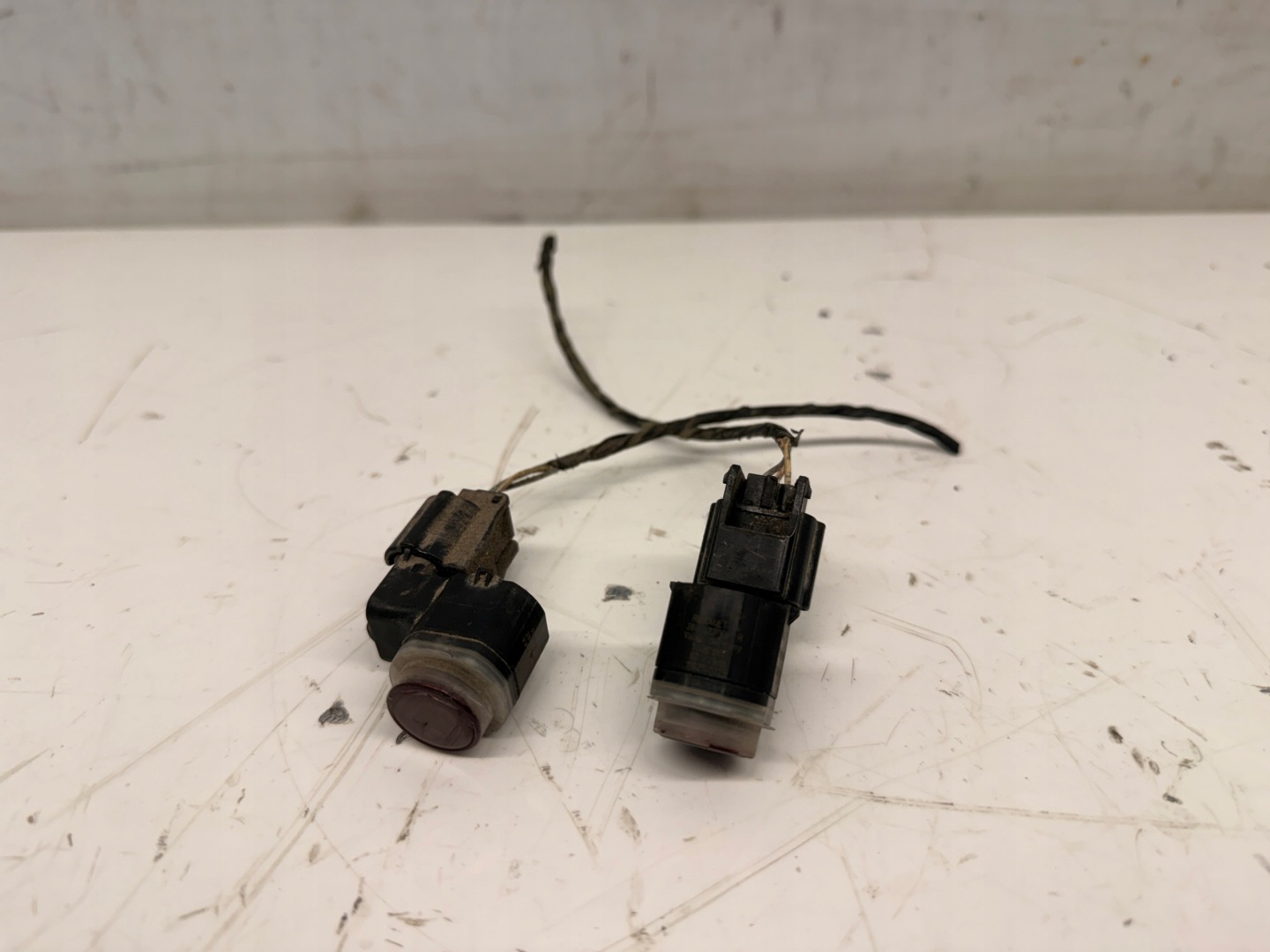Renault Scenic III Sensor PDC 284428691R