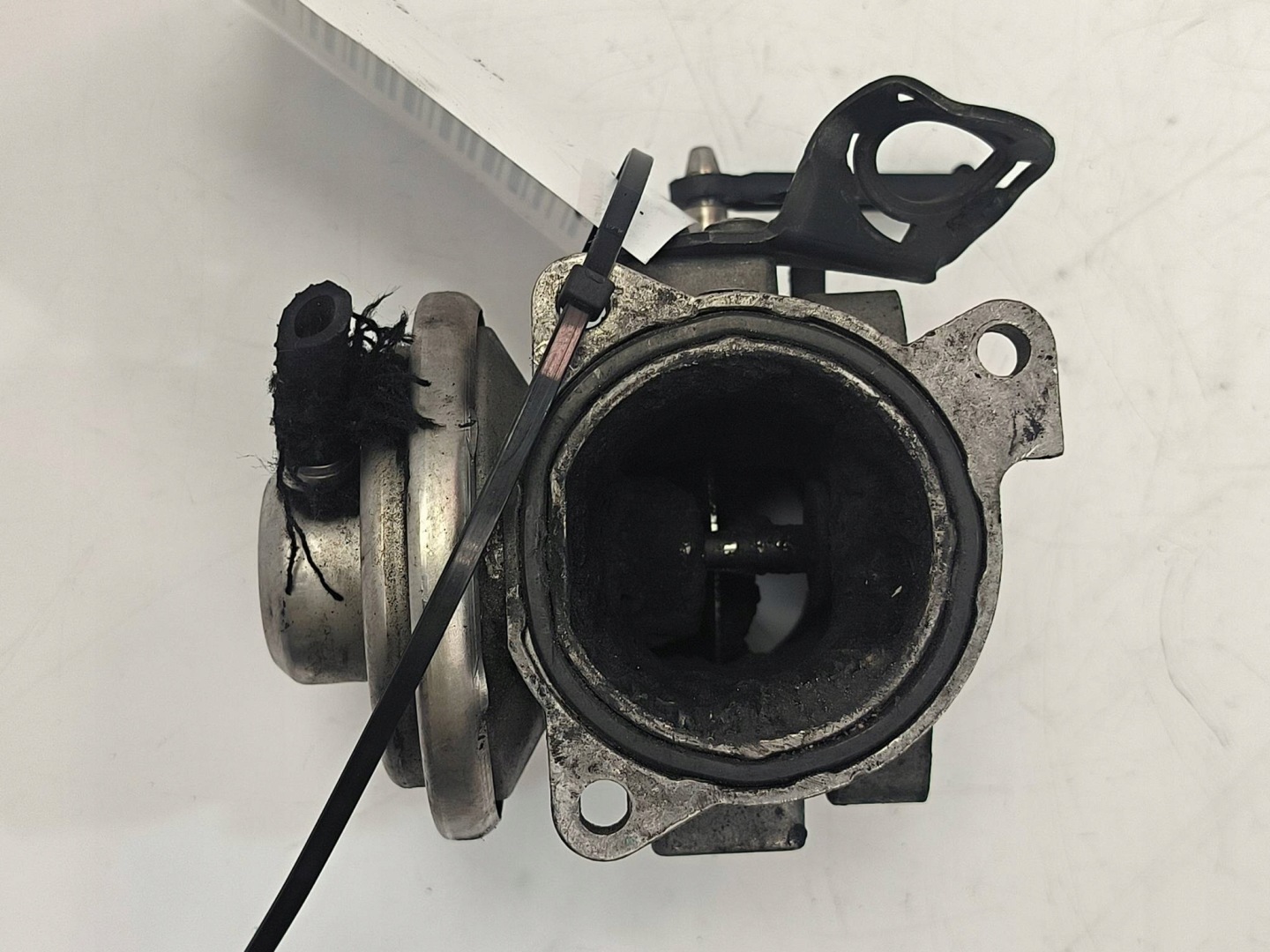 AGR-Ventil 038129637 VOLKSWAGEN GOLF V