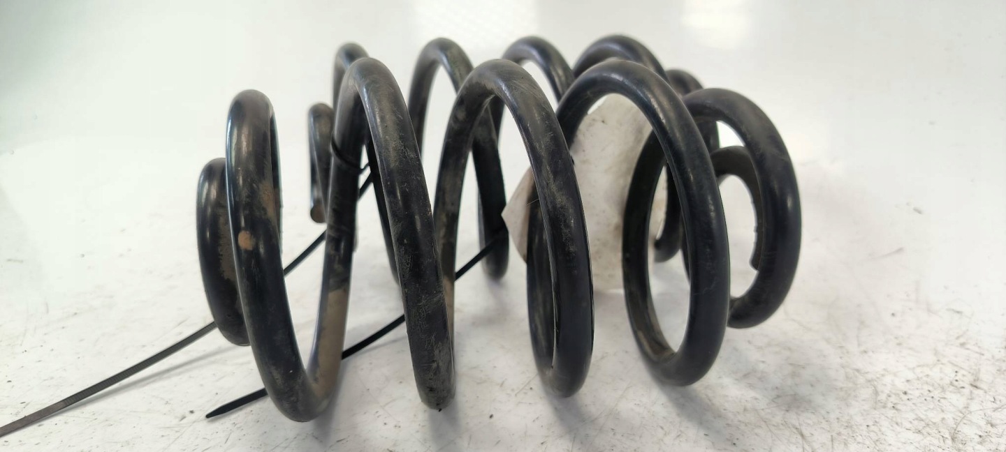 spring rear part RENAULT CLIO II