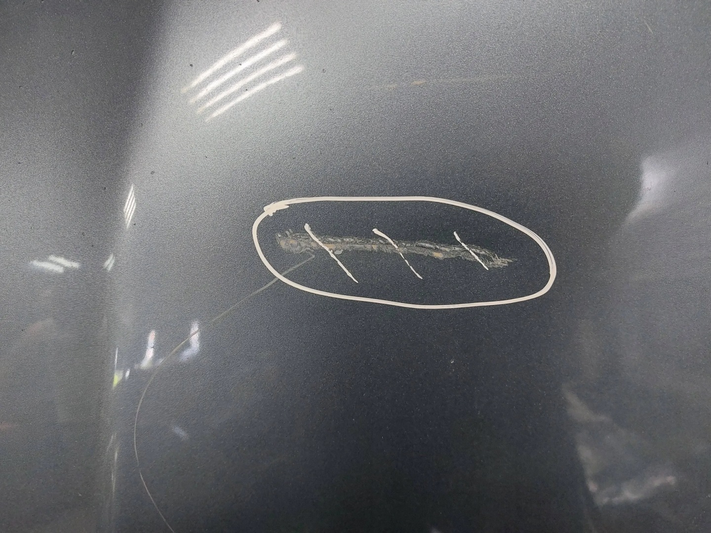 bonnet front Alfa Romeo GT 04