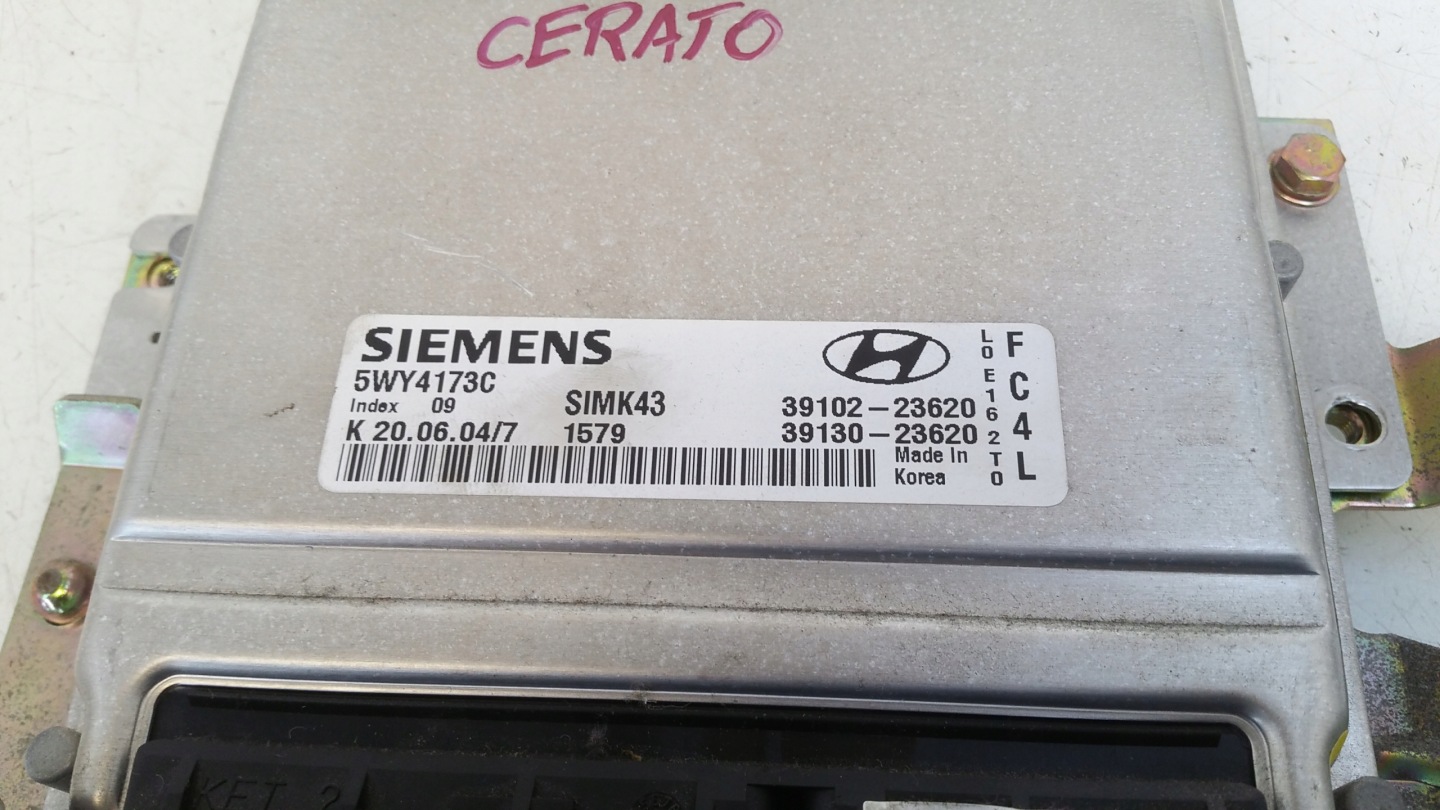 computer Motore 3910223620 Kia Cerato