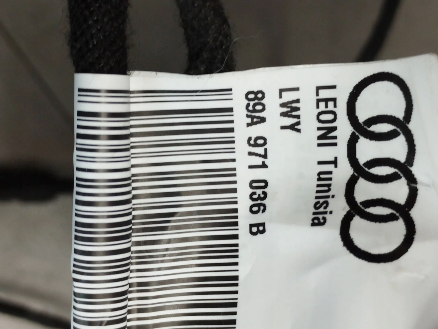 Audi Q4 e-tron bundle door 89A971036B