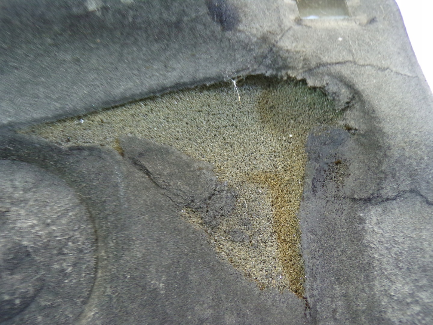 Insonorisation PODBITKA du capot Moteur VOLVO V50