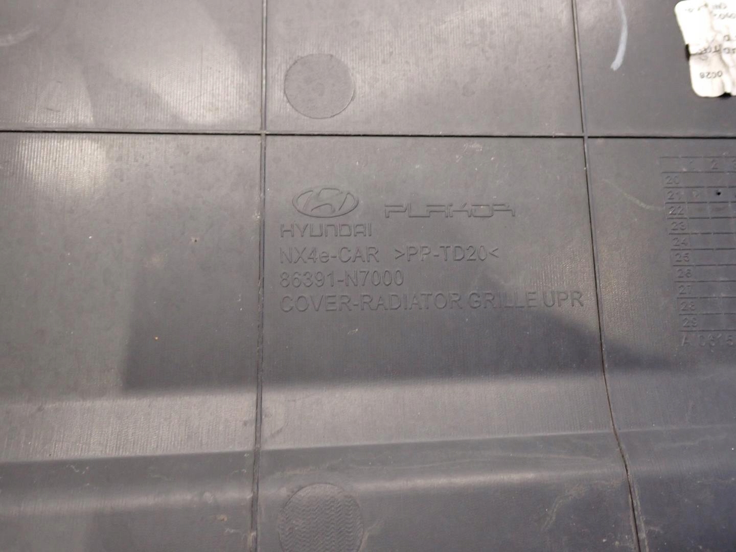 Grill HYUNDAI TUCSON IV 2020- 86391-N7000