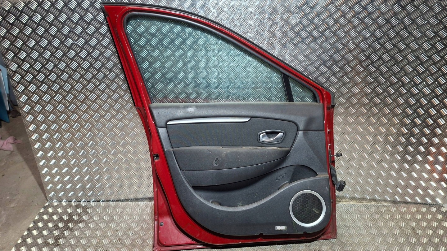 door left front RENAULT SCENIC III 2009