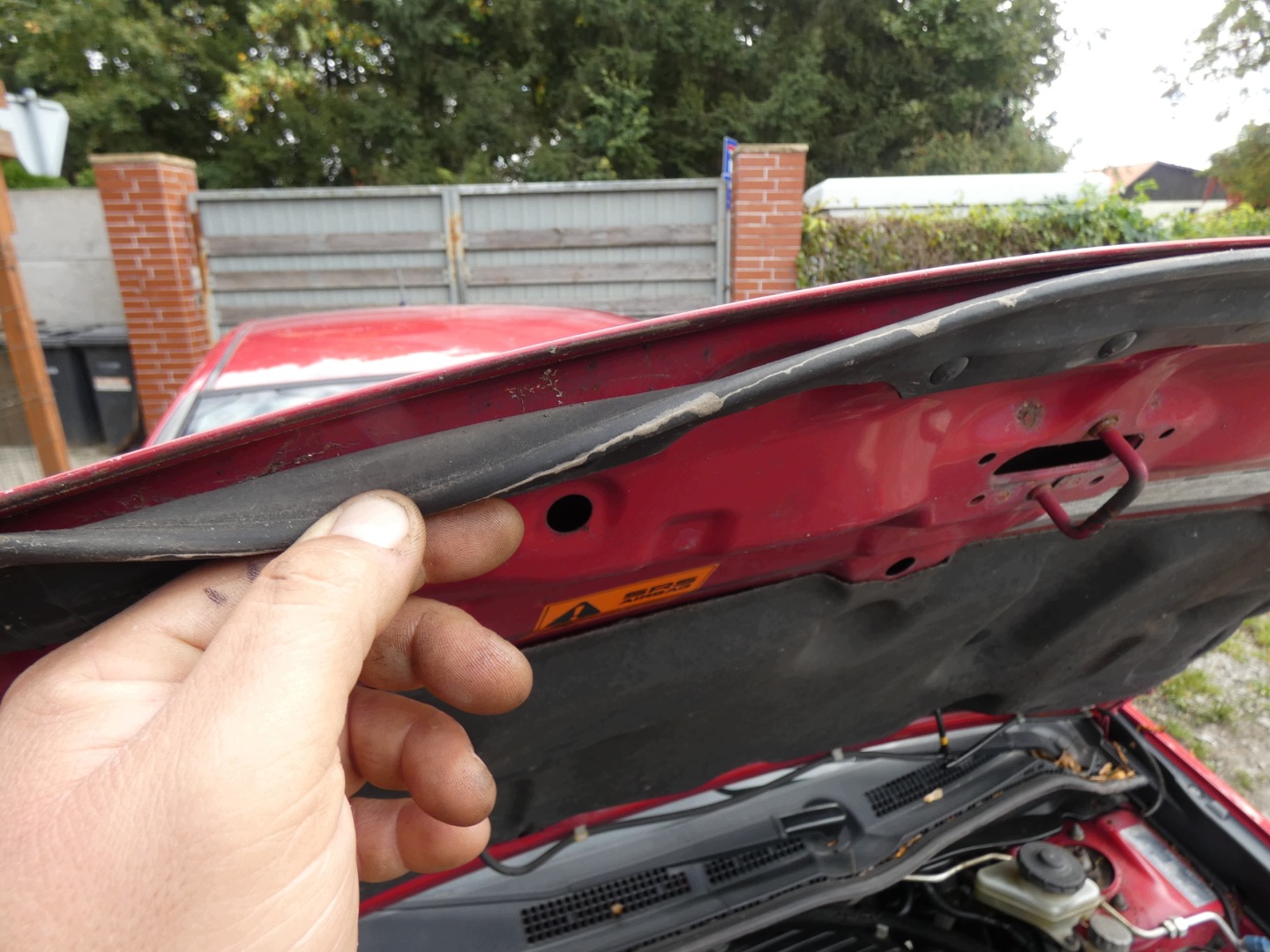 capot HONDA CIVIC VII 7 00-06 couleur R81