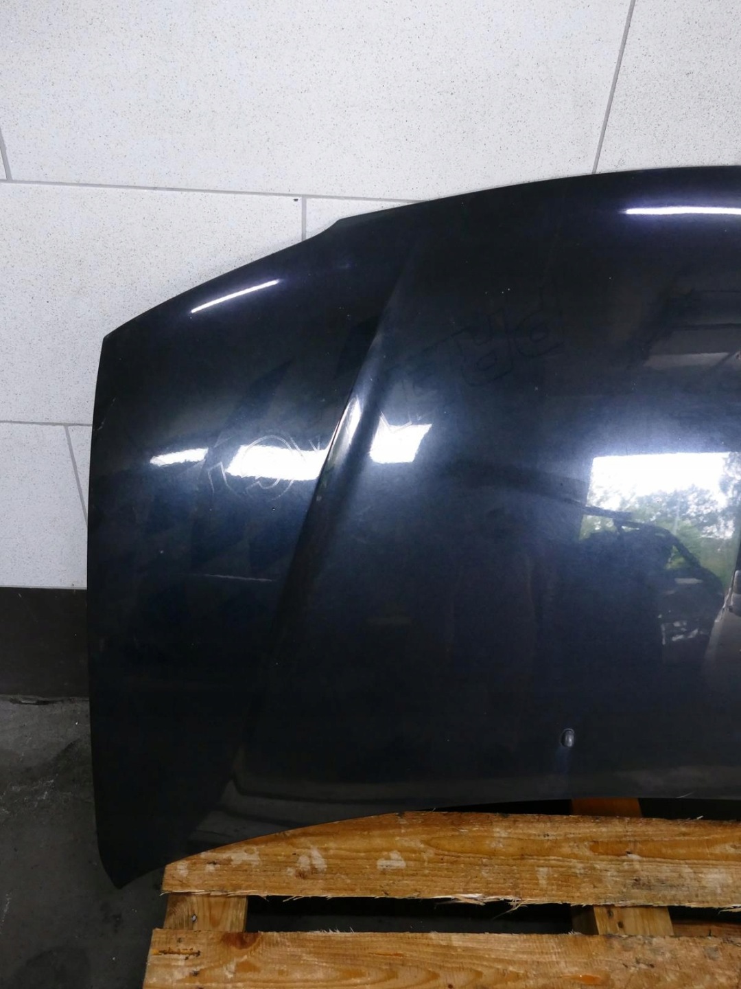 MAZDA PREMACY e LIFT Cofano 16W