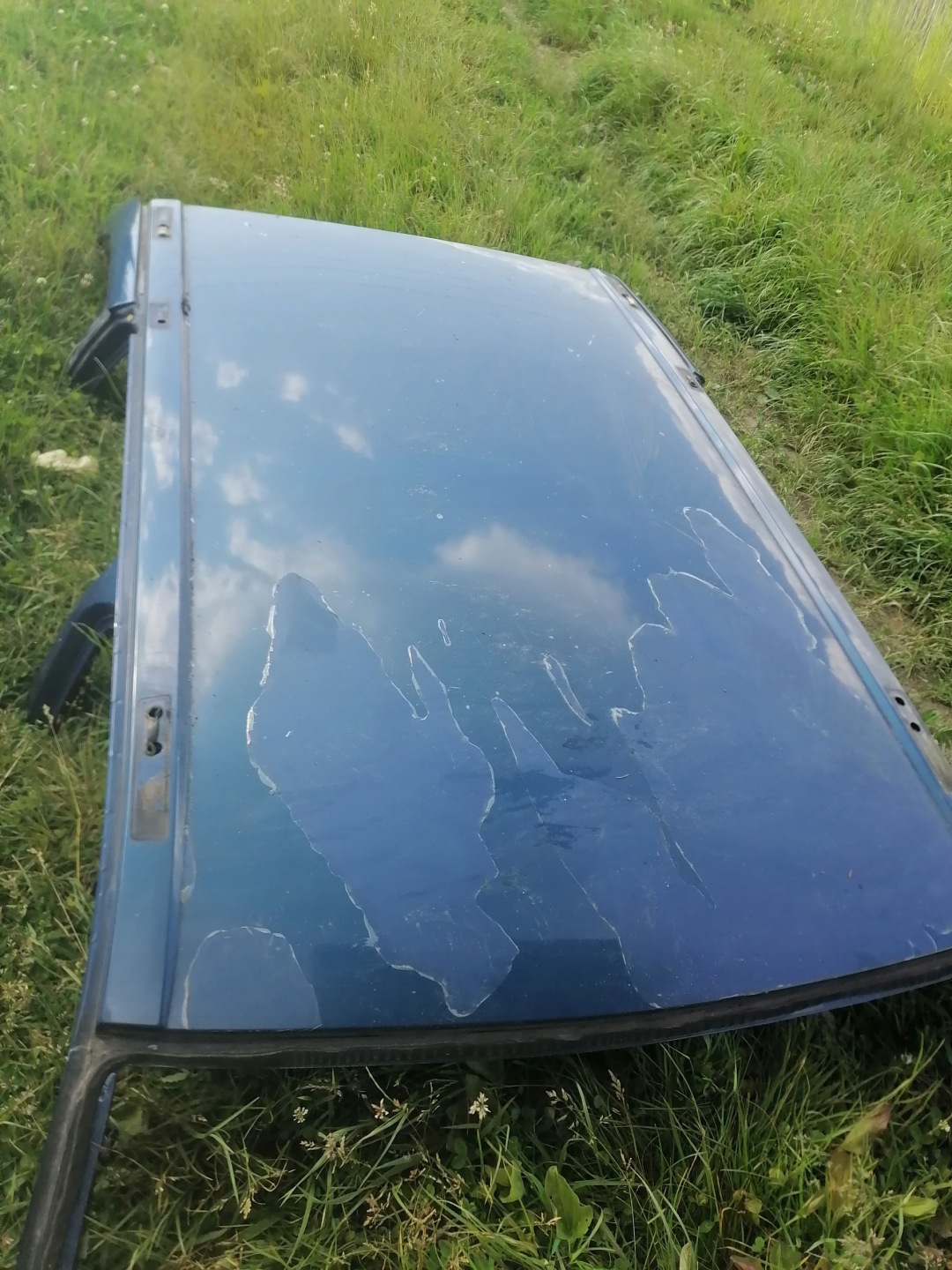 dach bmw e53 X5 ohne Schiebedach