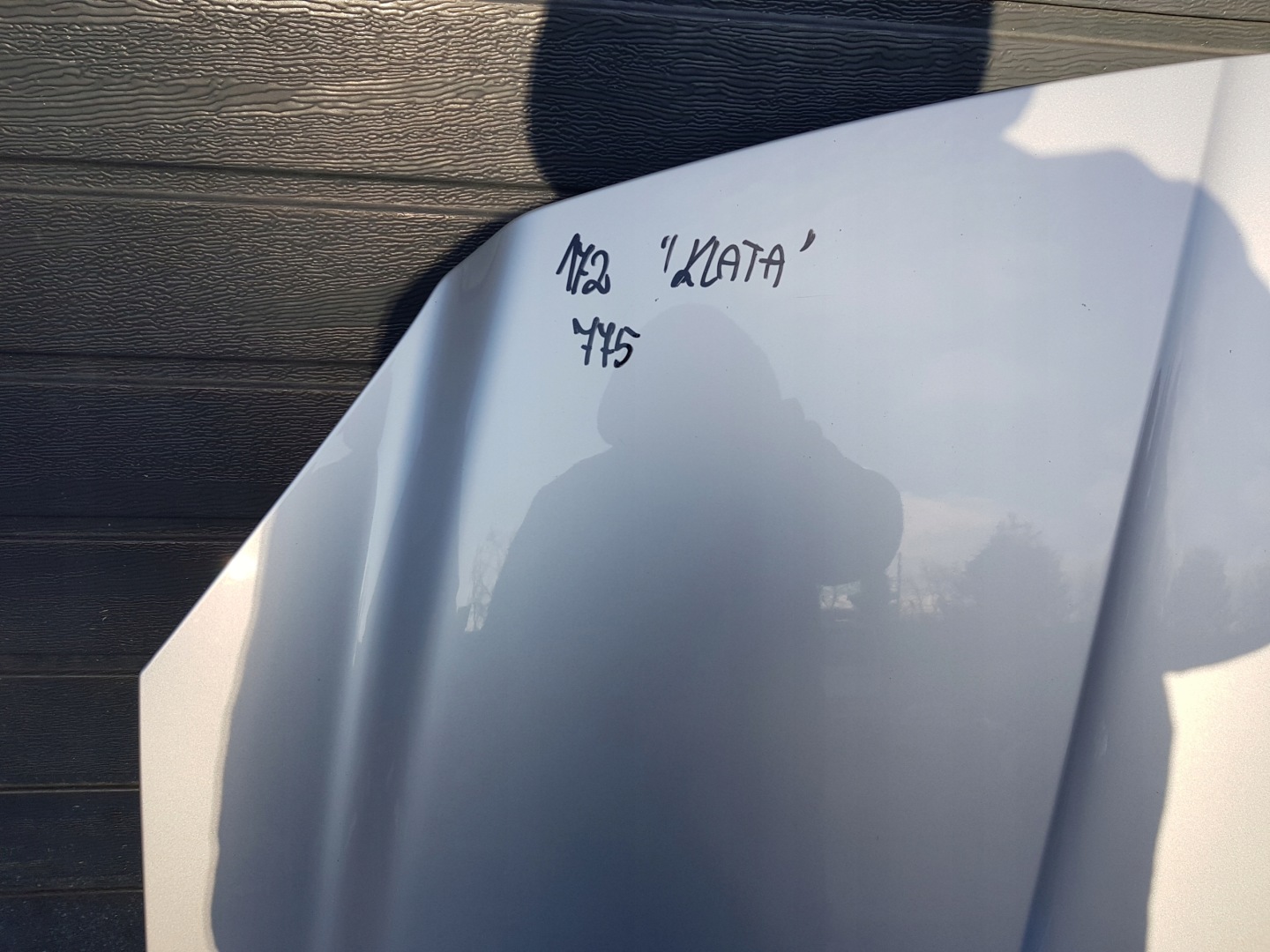 cofano MERCEDES SLK R172 W172 C775 775