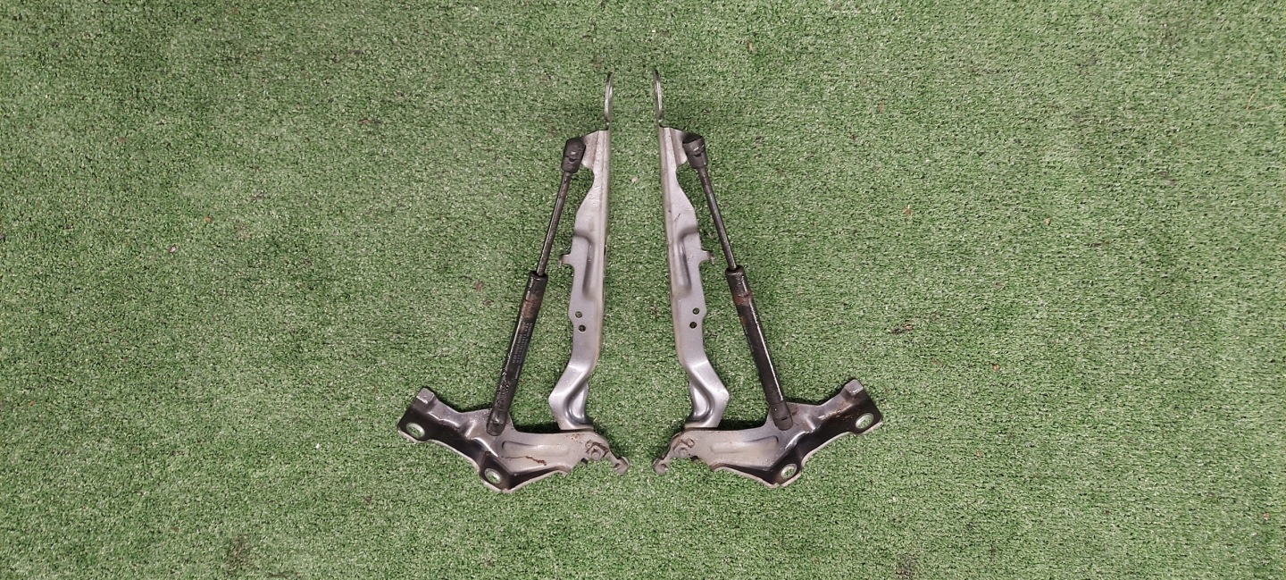 Cerniere cofano VOLVO V70 XC70 S80 07-16 LAK: 455-16