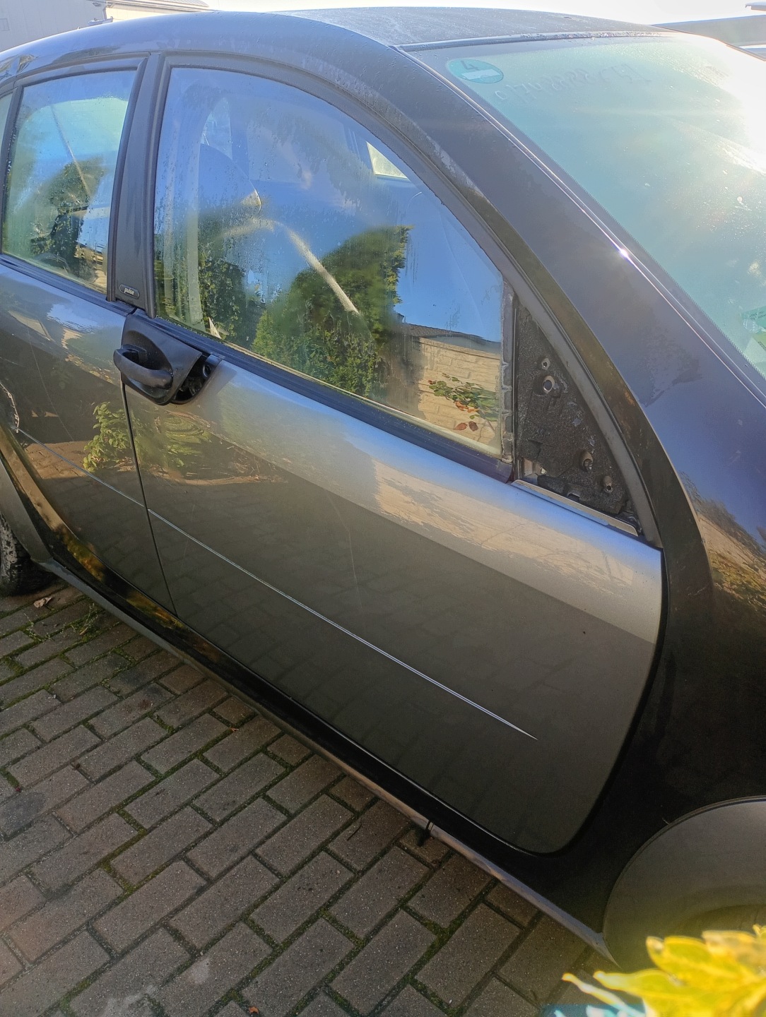 door right front front Smart Forfour 454 04-06