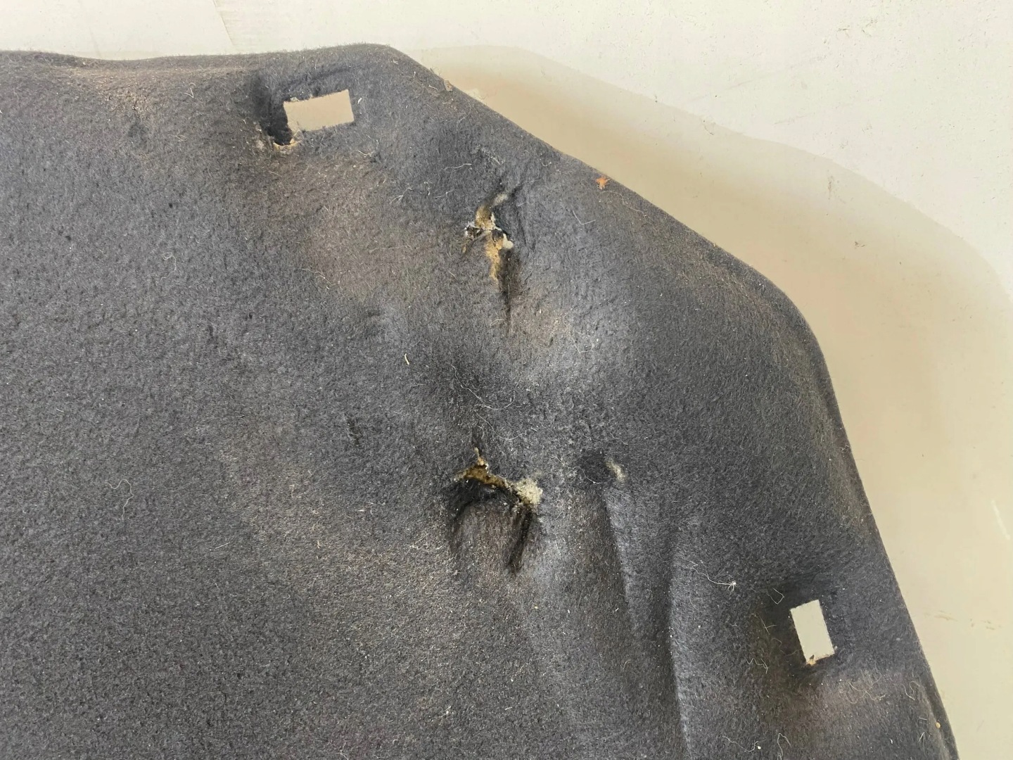 Insonorisation du capot FORD FOCUS MK3