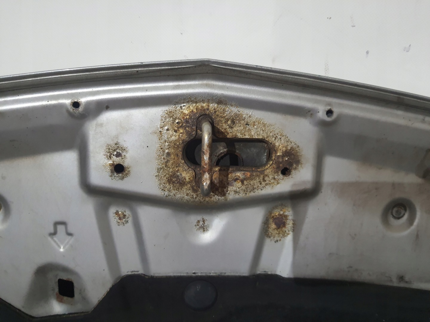 HONDA ACCORD VIII 08-15 cofano