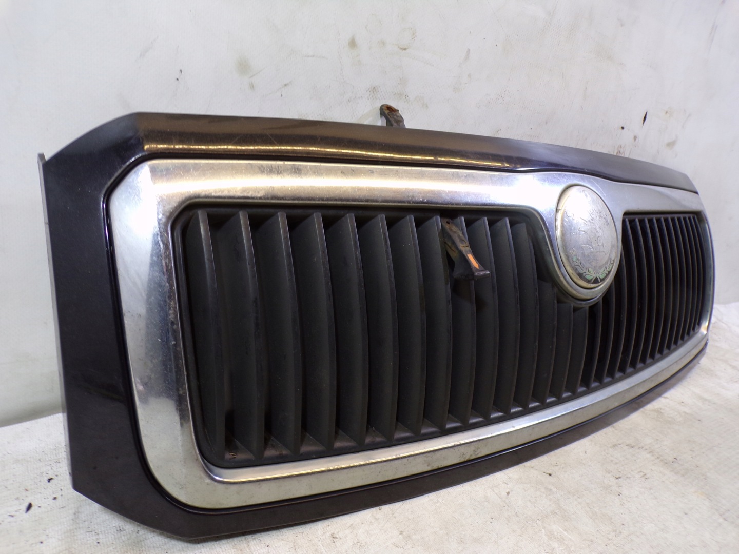 Griglia GRIGLIA radiatore SKODA FABIA 1 e colore 1F9R