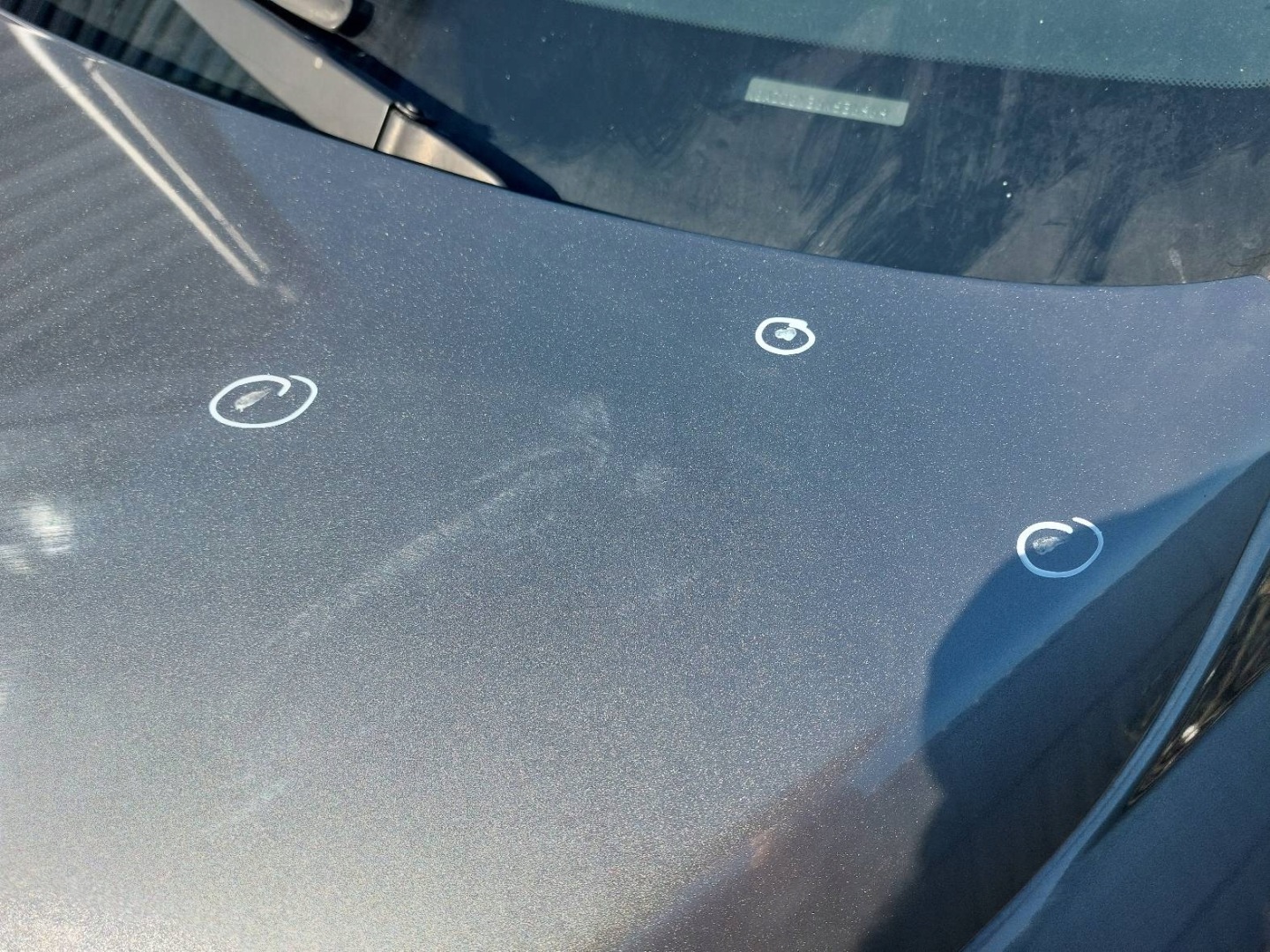 Capot NISSAN MURANO Z50 K21