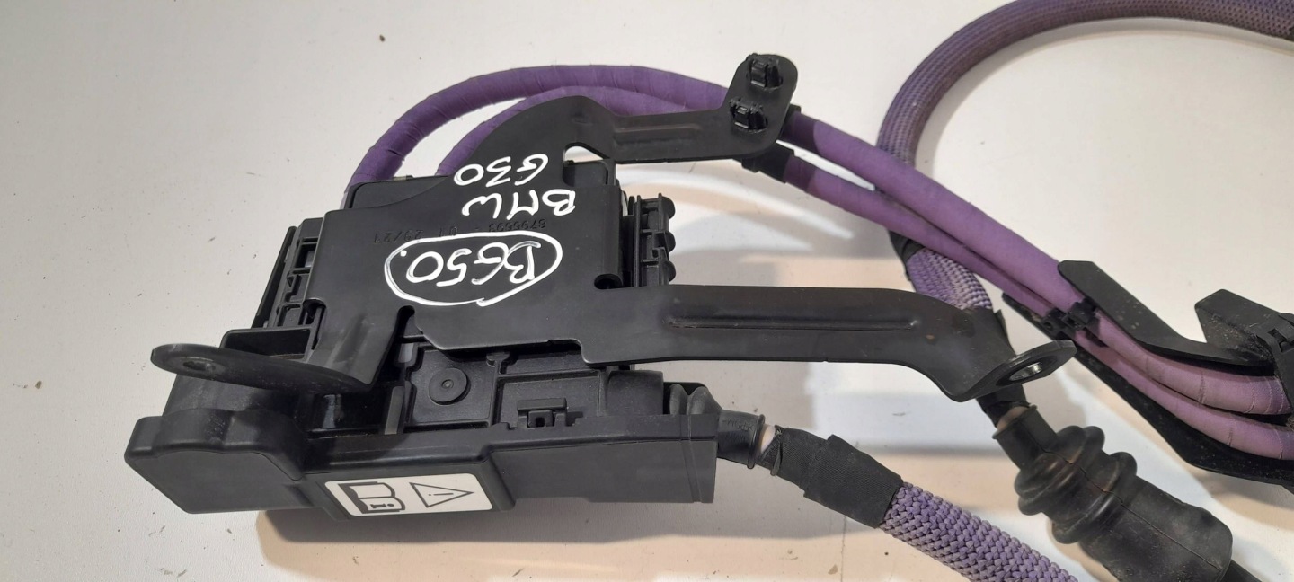 BMW 5 G30 G31 modul / Bedienteil 765000104E + Schläuche (BG50)
