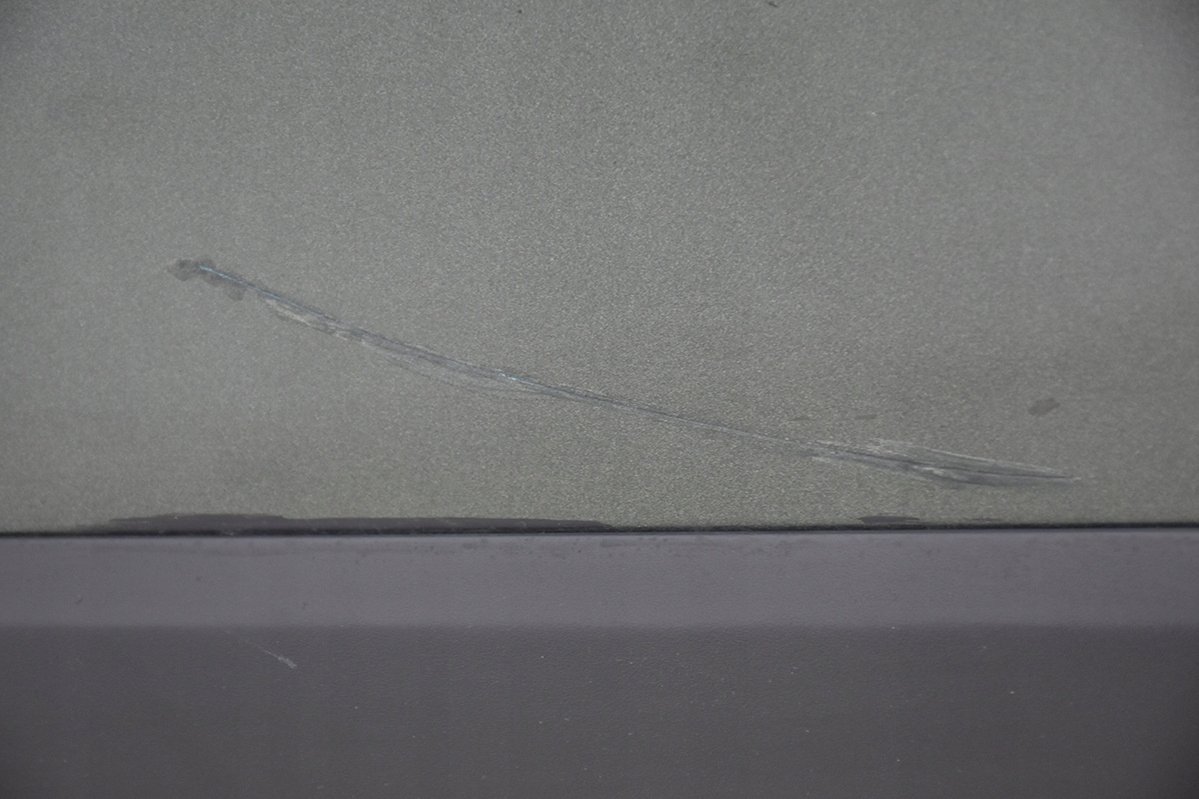 door rear. rear part left LAND ROVER DISCOVERY 3 III