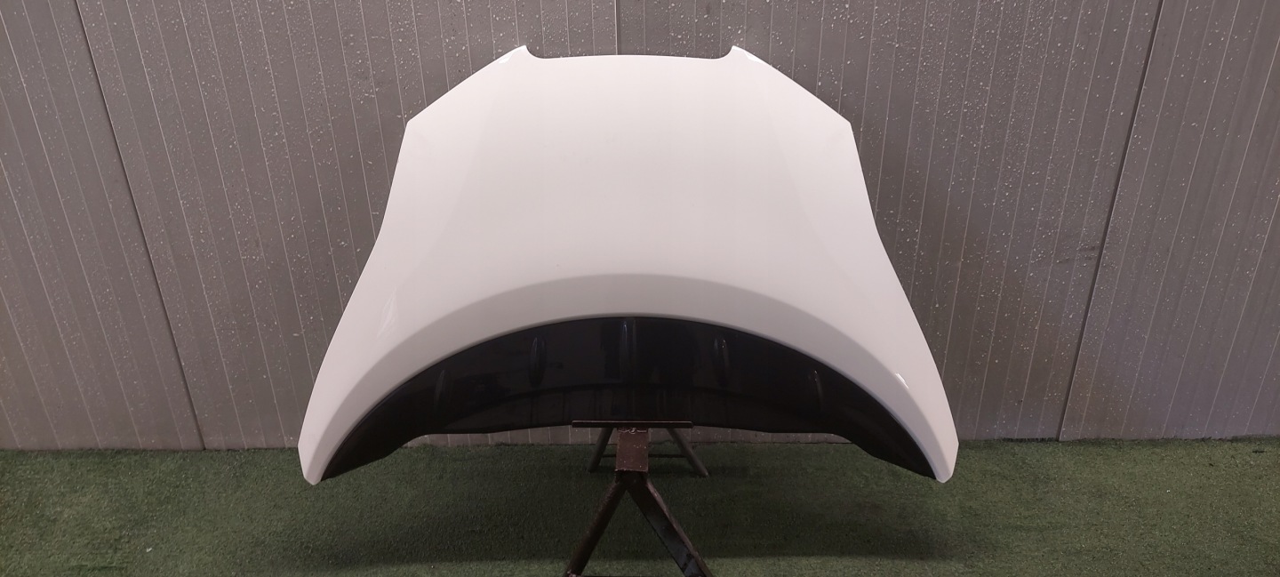 cofano NISSAN LEAF 10-17 LAK: 326G