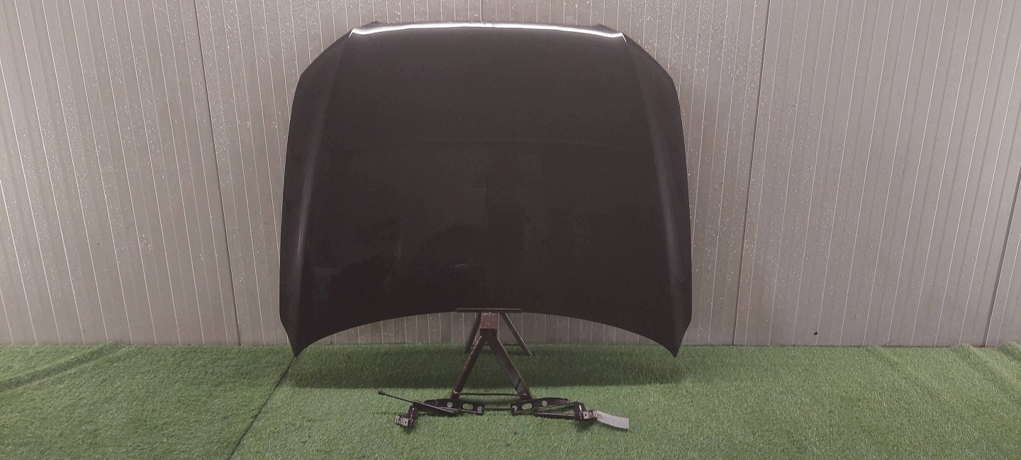 cofano + Cerniere cofano AUDI Q5 8R 08-12 LAK: LZ9Y