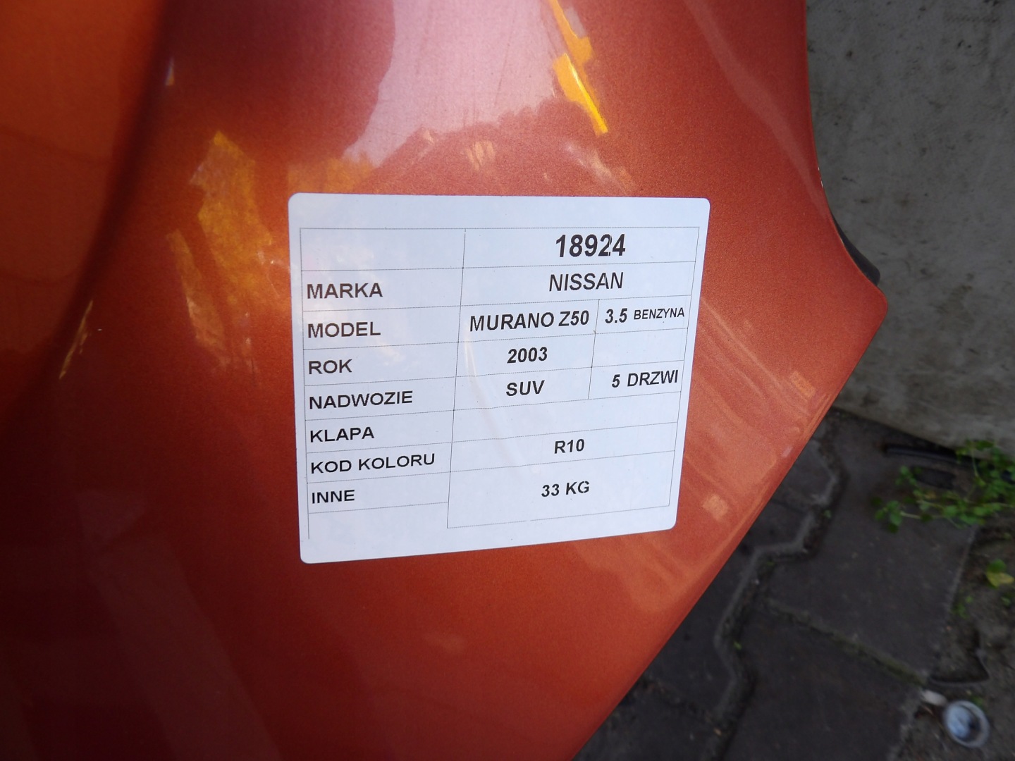 Nissan Murano Z50 boot doors lak. R10