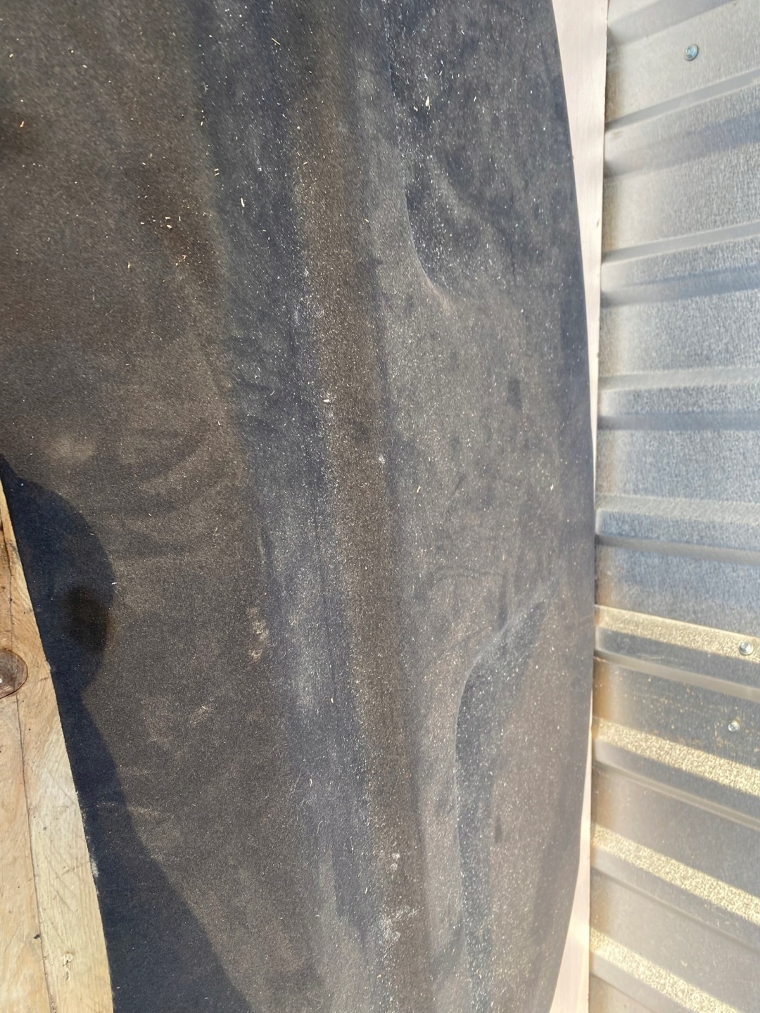 plato rear Volkswagen Passat CC 3C8863413