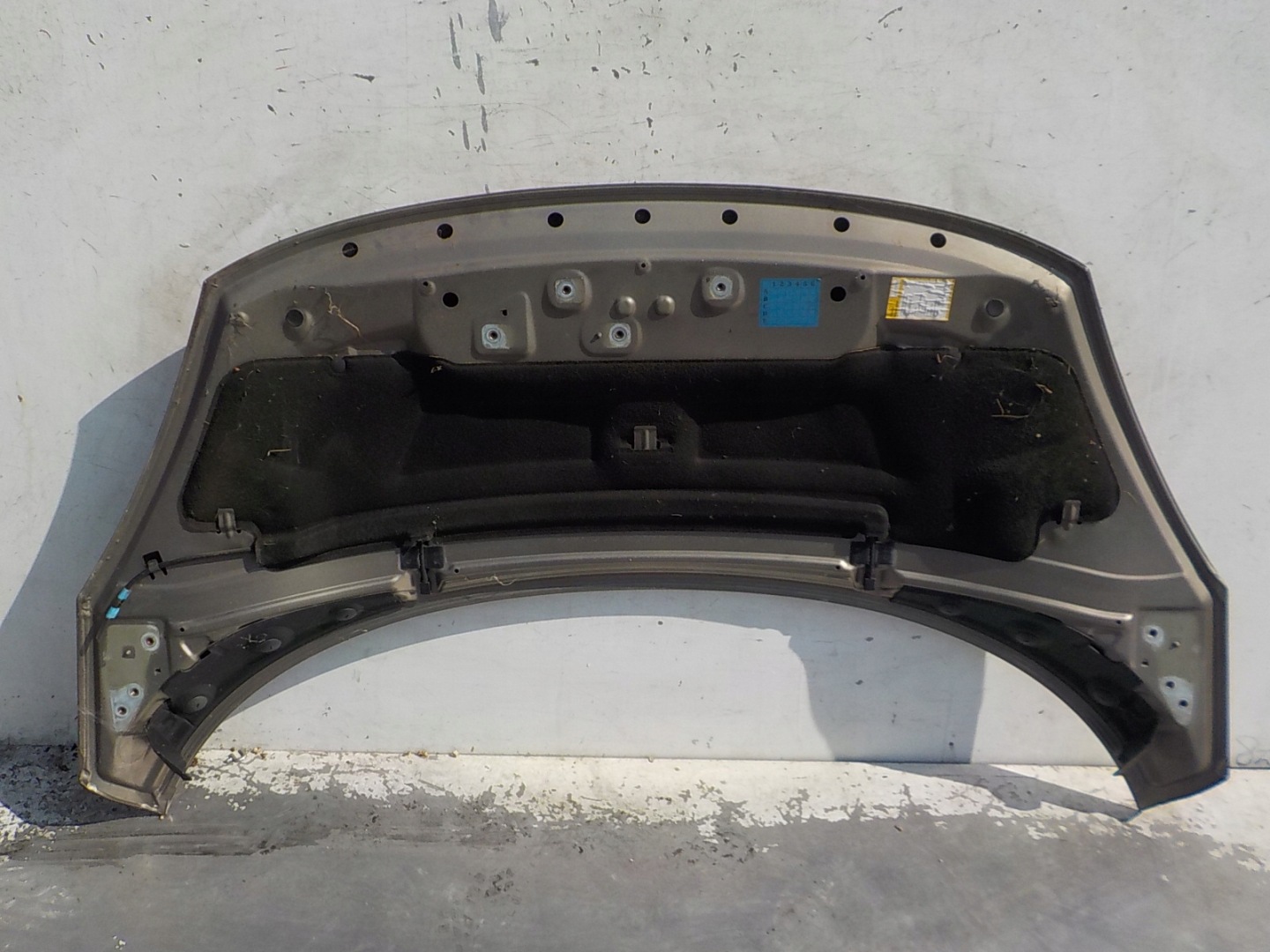 361 RENAULT SCENIC III Cofano